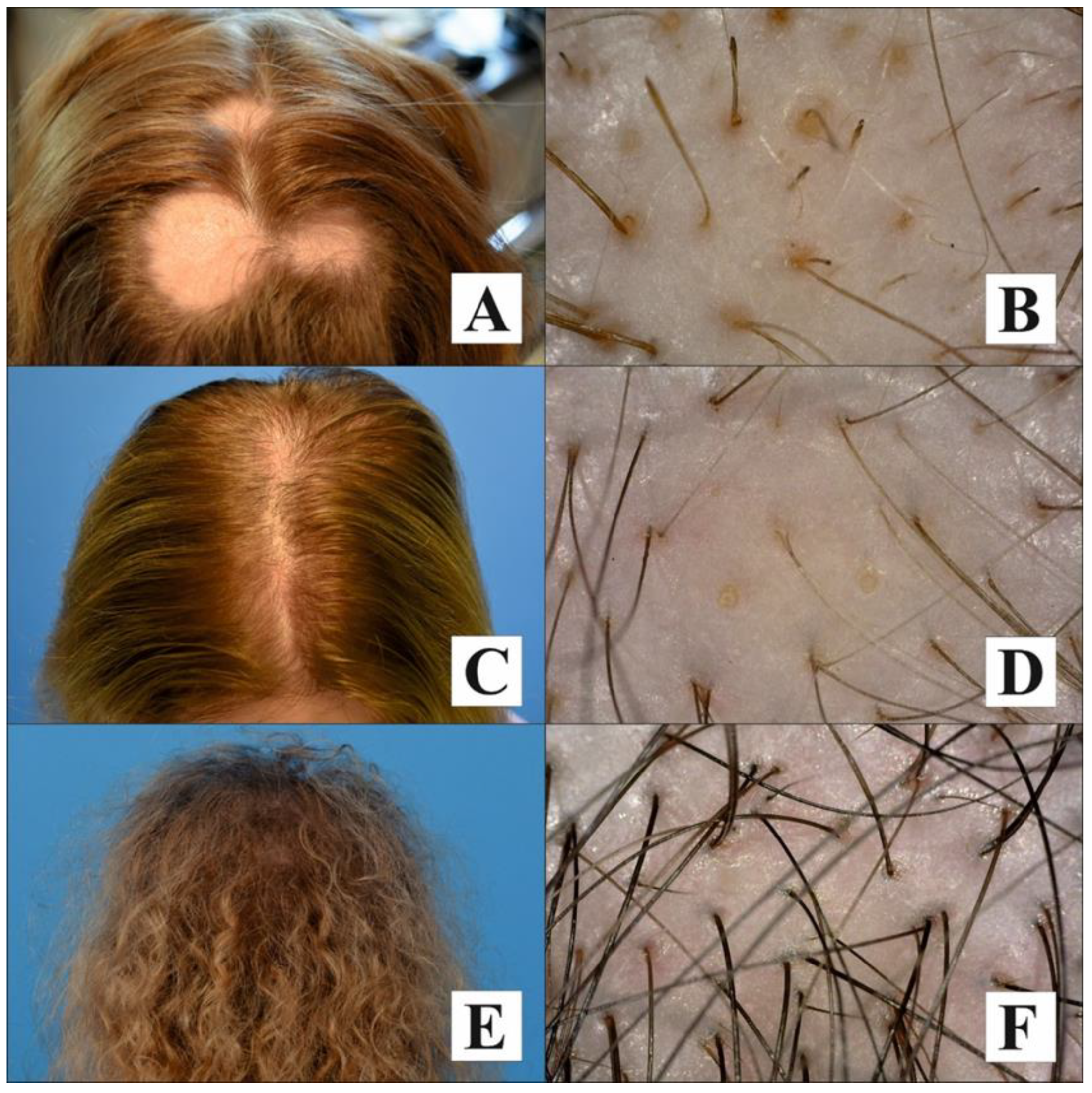 Life 14 00609 g002 Life 14 00609 g002