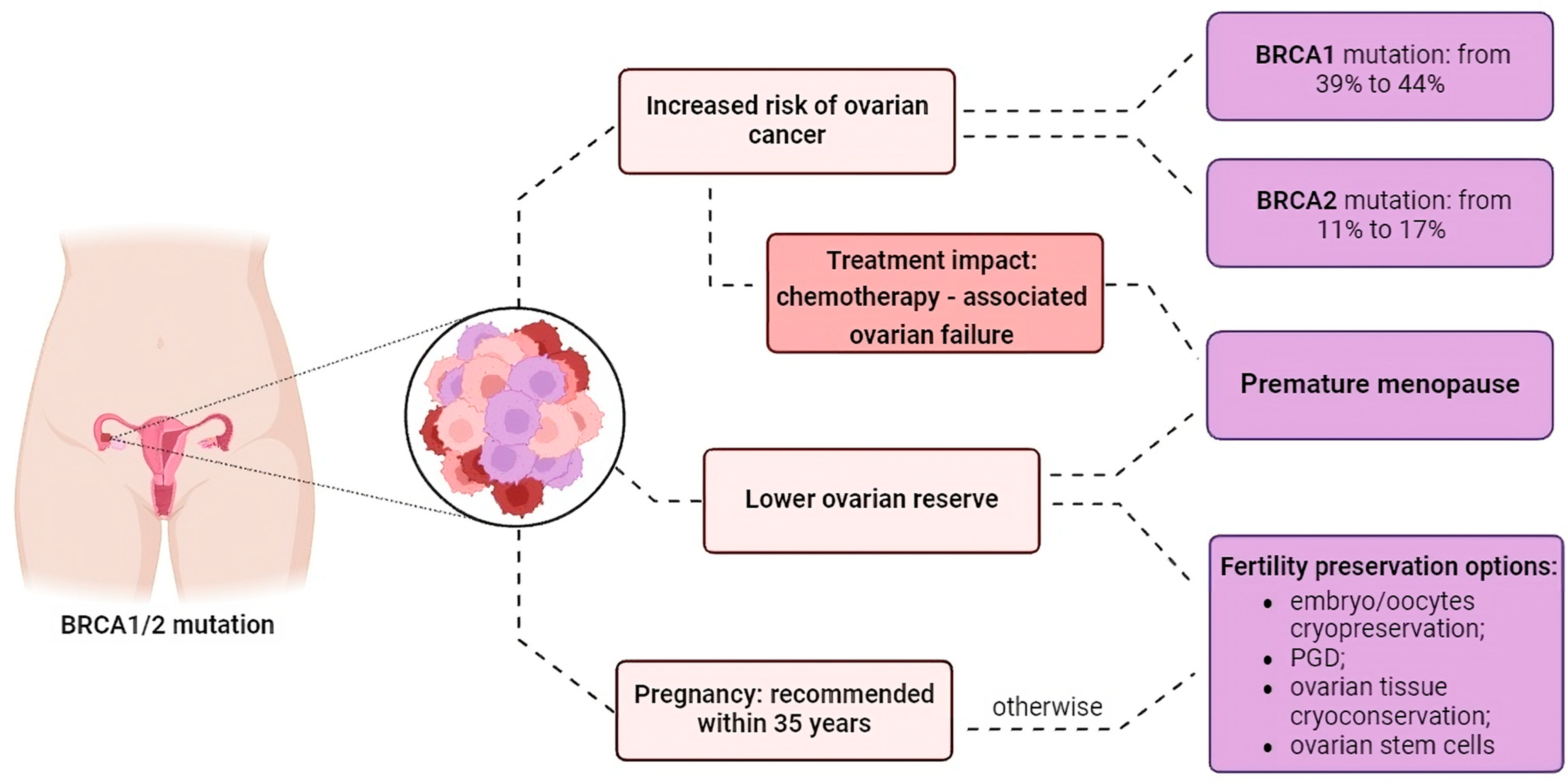 Life | Free Full-Text | Fertility Preservation in BRCA1/2 Germline Mutation  Carriers: An Overview