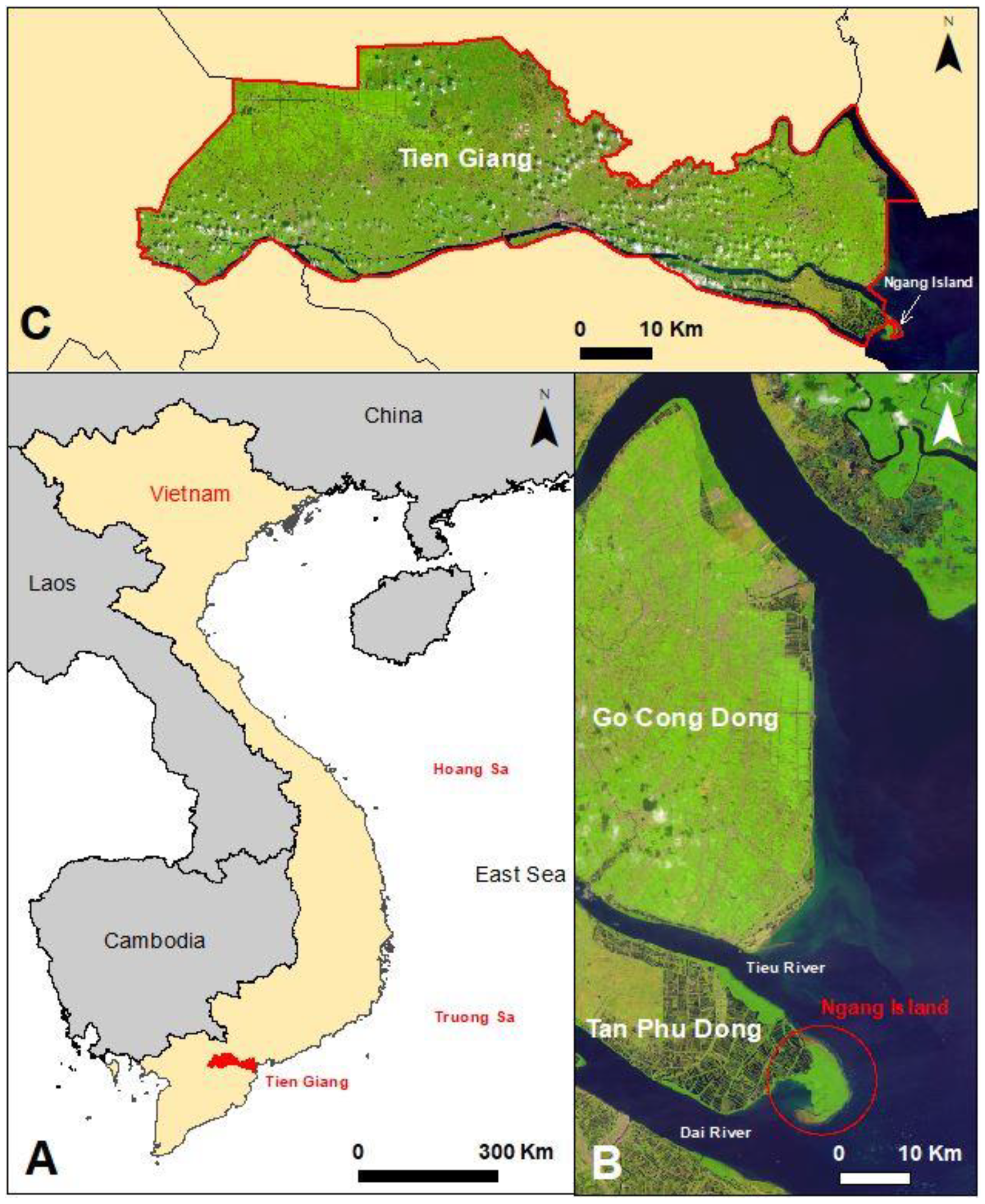 Life 14 00711 g001 Life 14 00711 g001