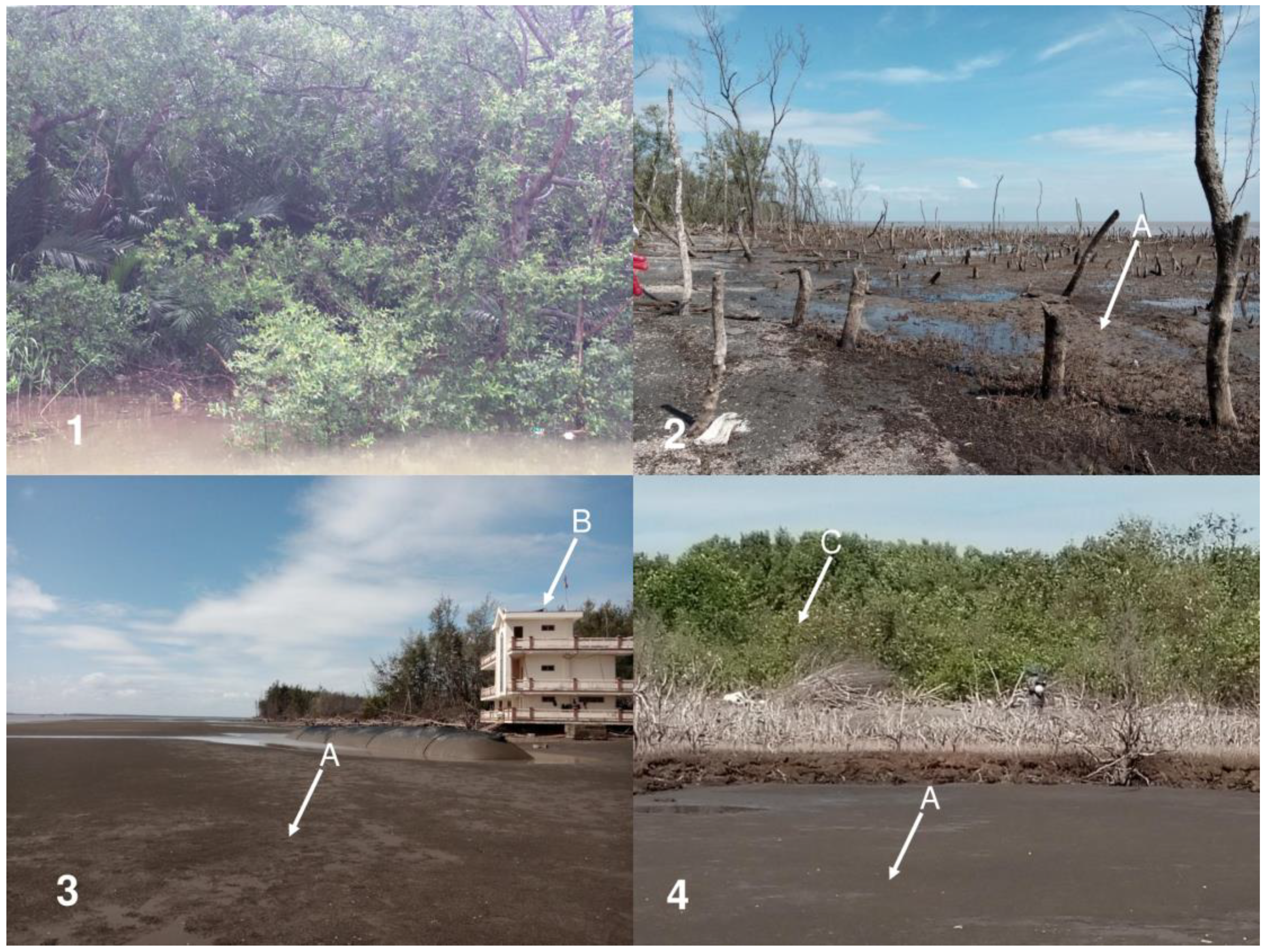 Life 14 00711 g006 Life 14 00711 g006