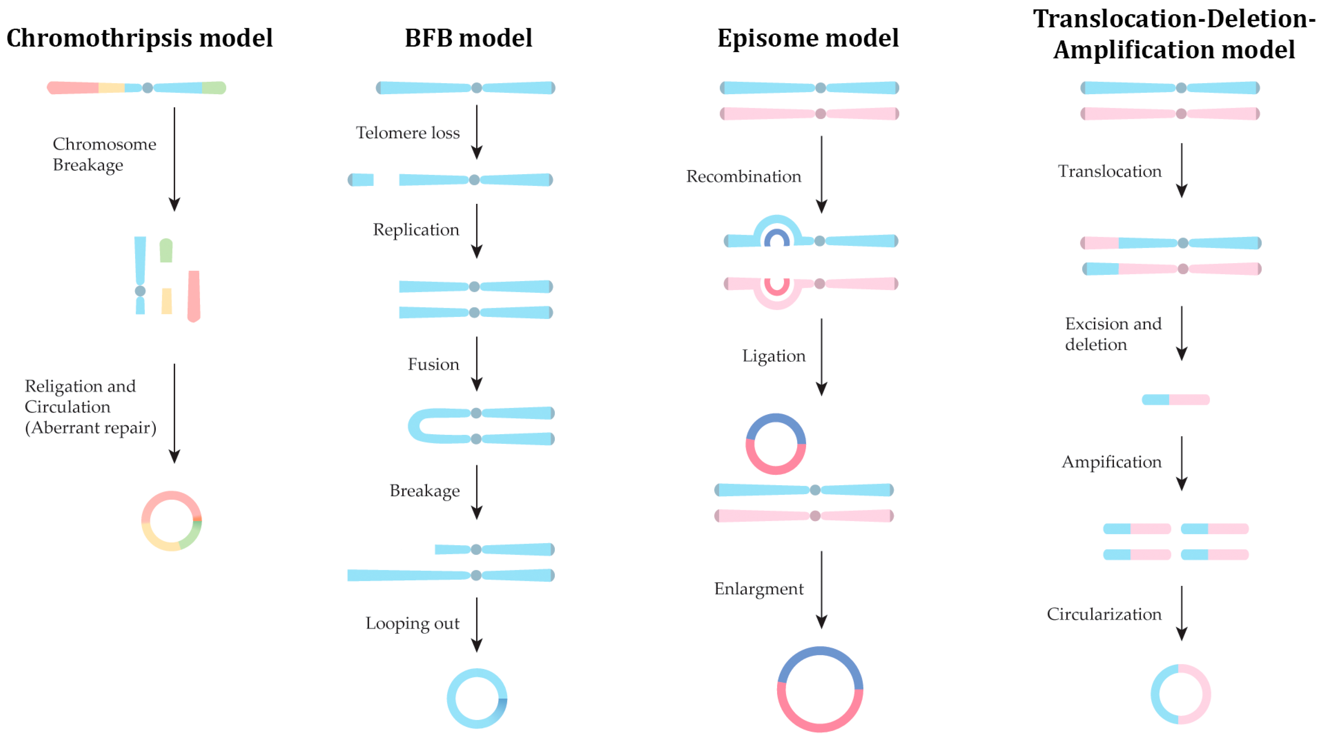 Life 14 00922 g001 Life 14 00922 g001