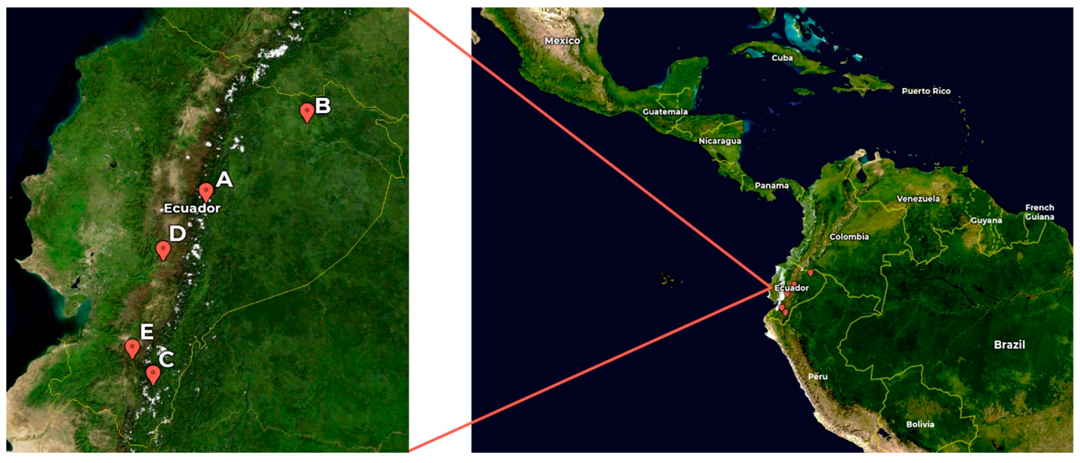 Life 14 00924 g001 Life 14 00924 g001