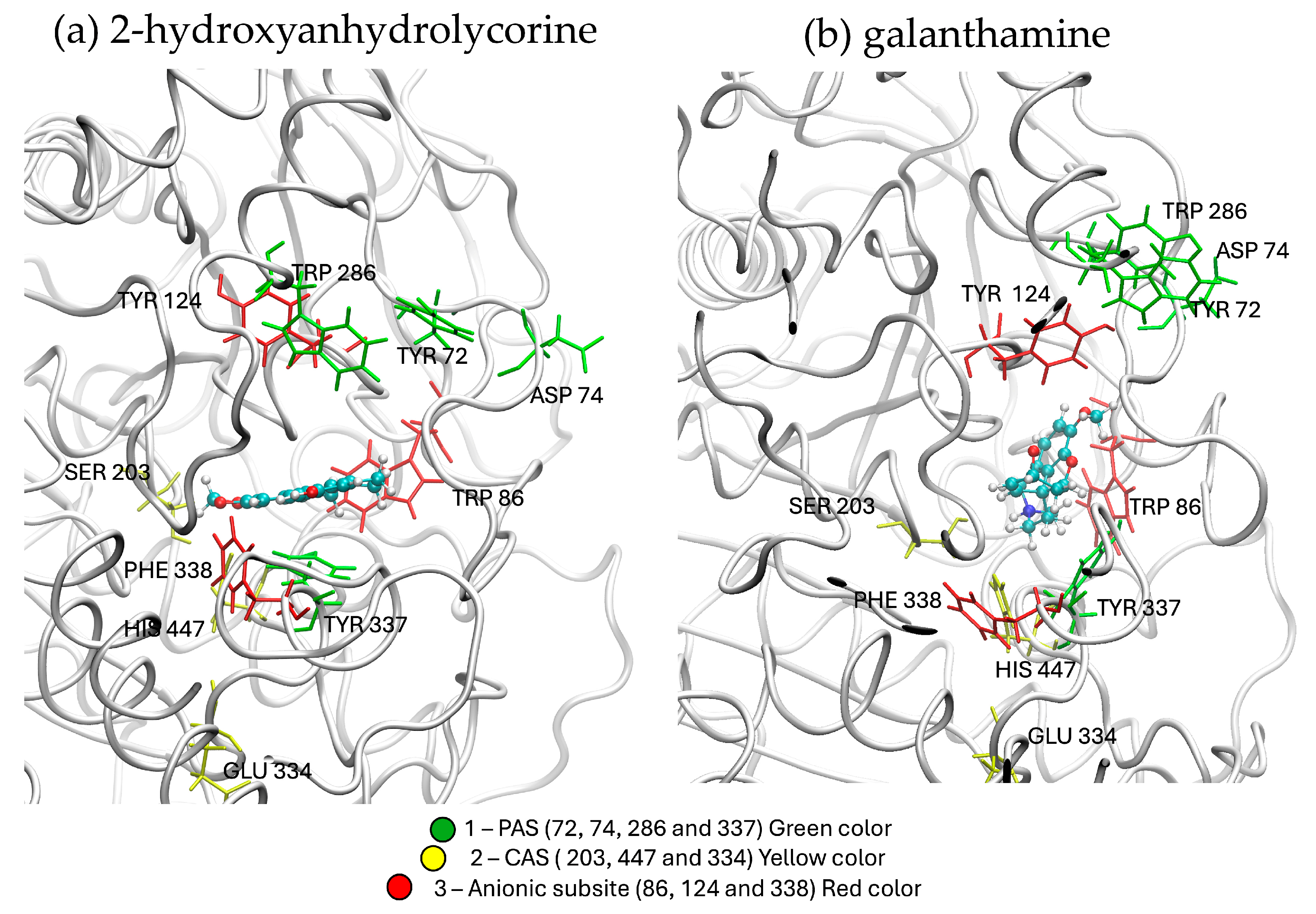Life 14 00924 g005 Life 14 00924 g005