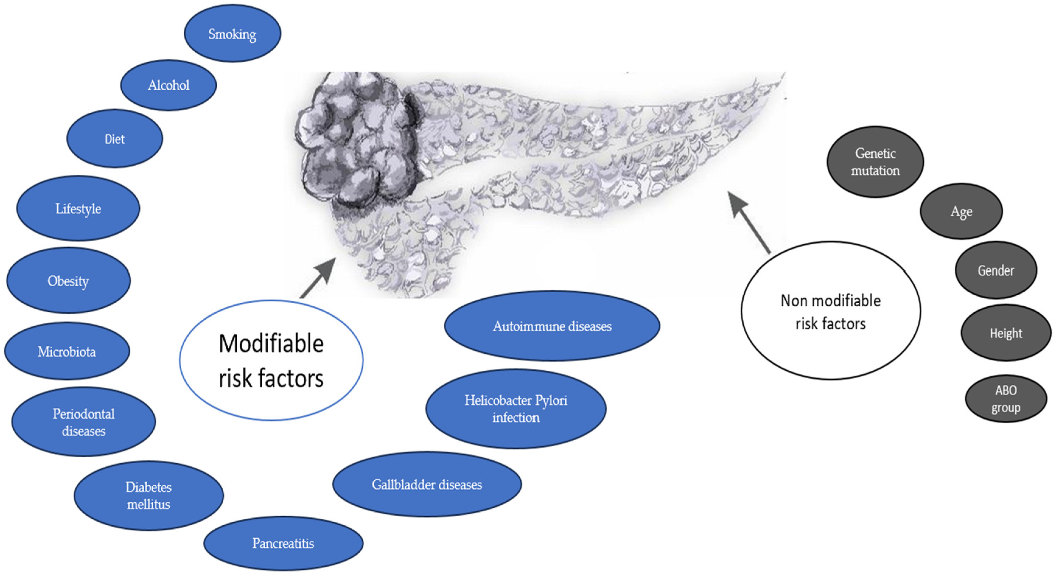 Life 14 00980 g001 Life 14 00980 g001