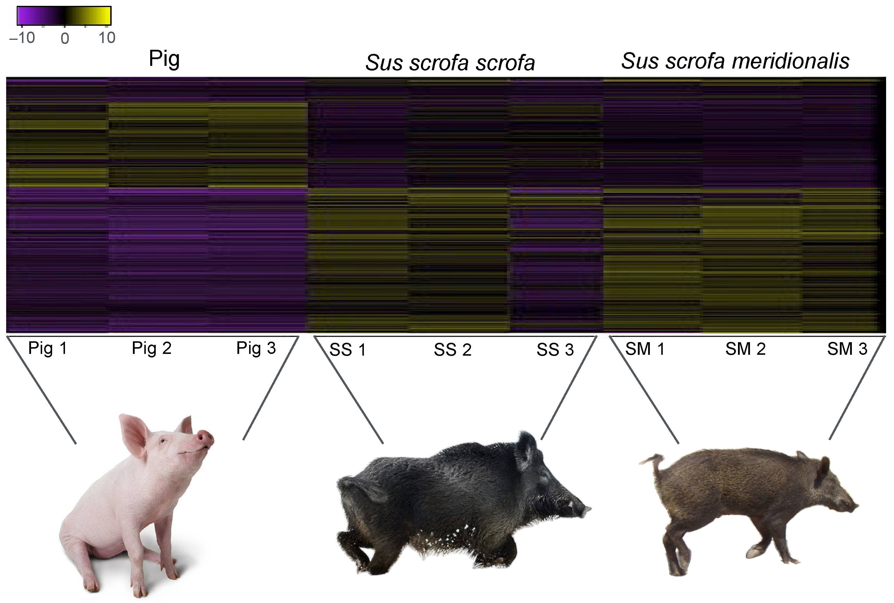 Life 14 01045 g001 Life 14 01045 g001