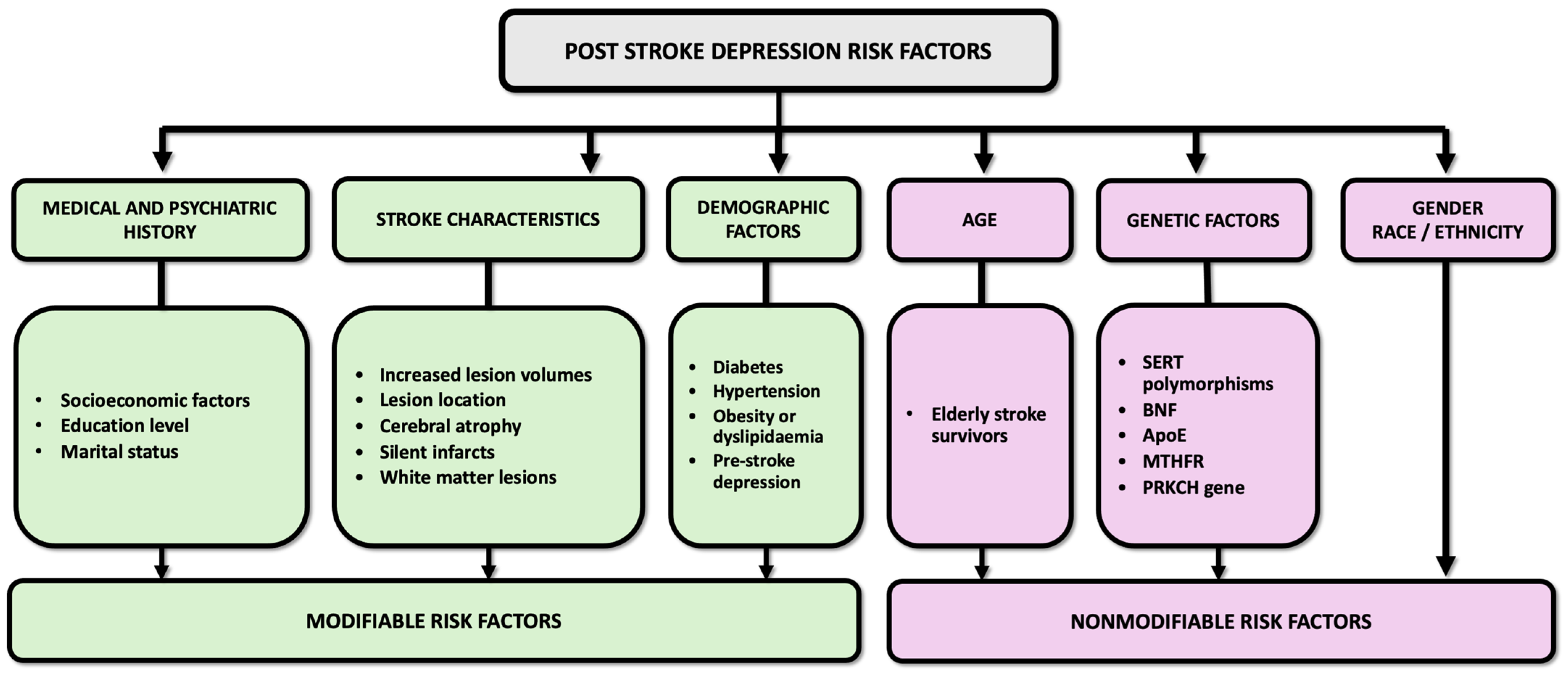 Life 14 01110 g002 Life 14 01110 g002
