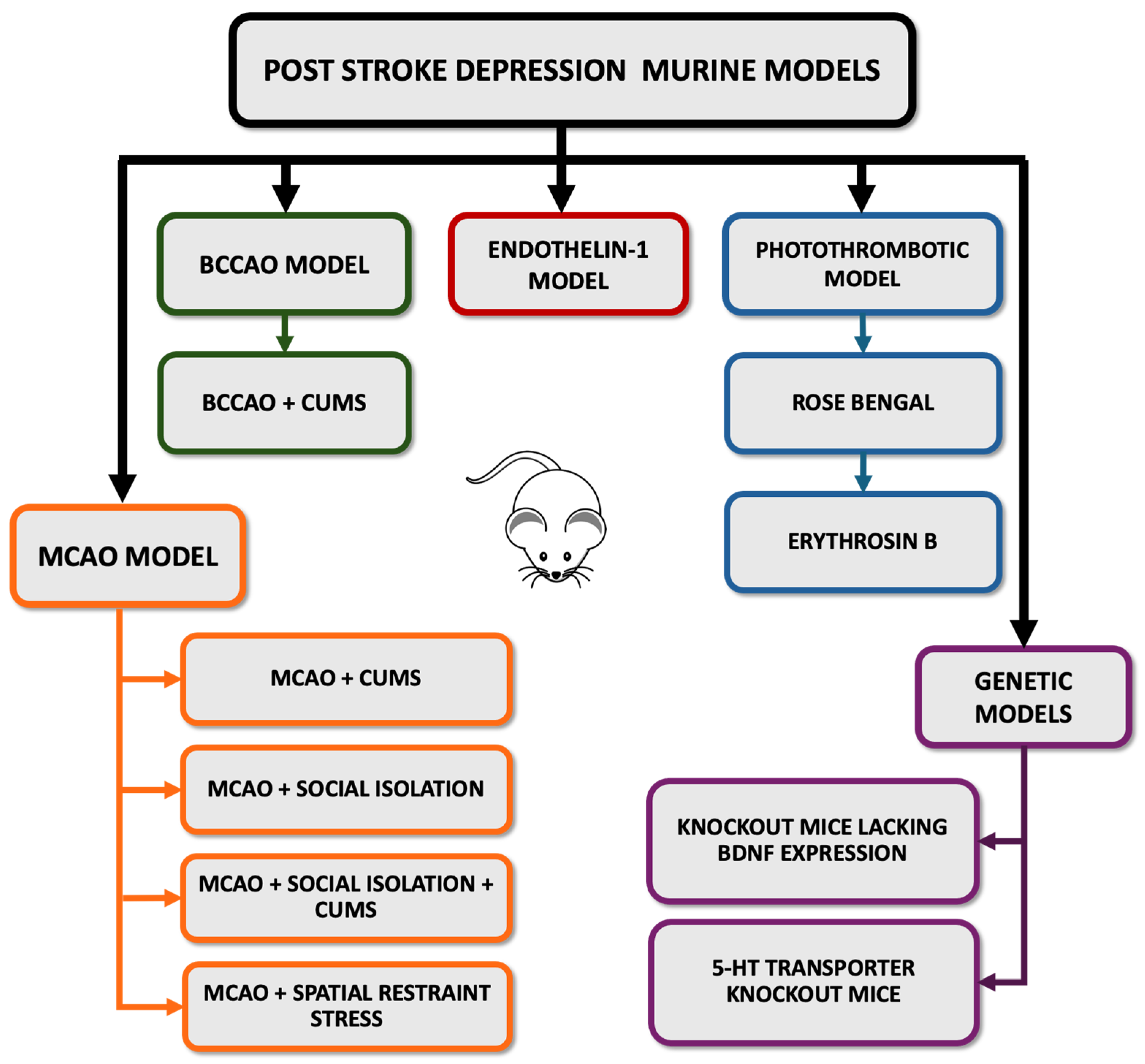 Life 14 01110 g003 Life 14 01110 g003