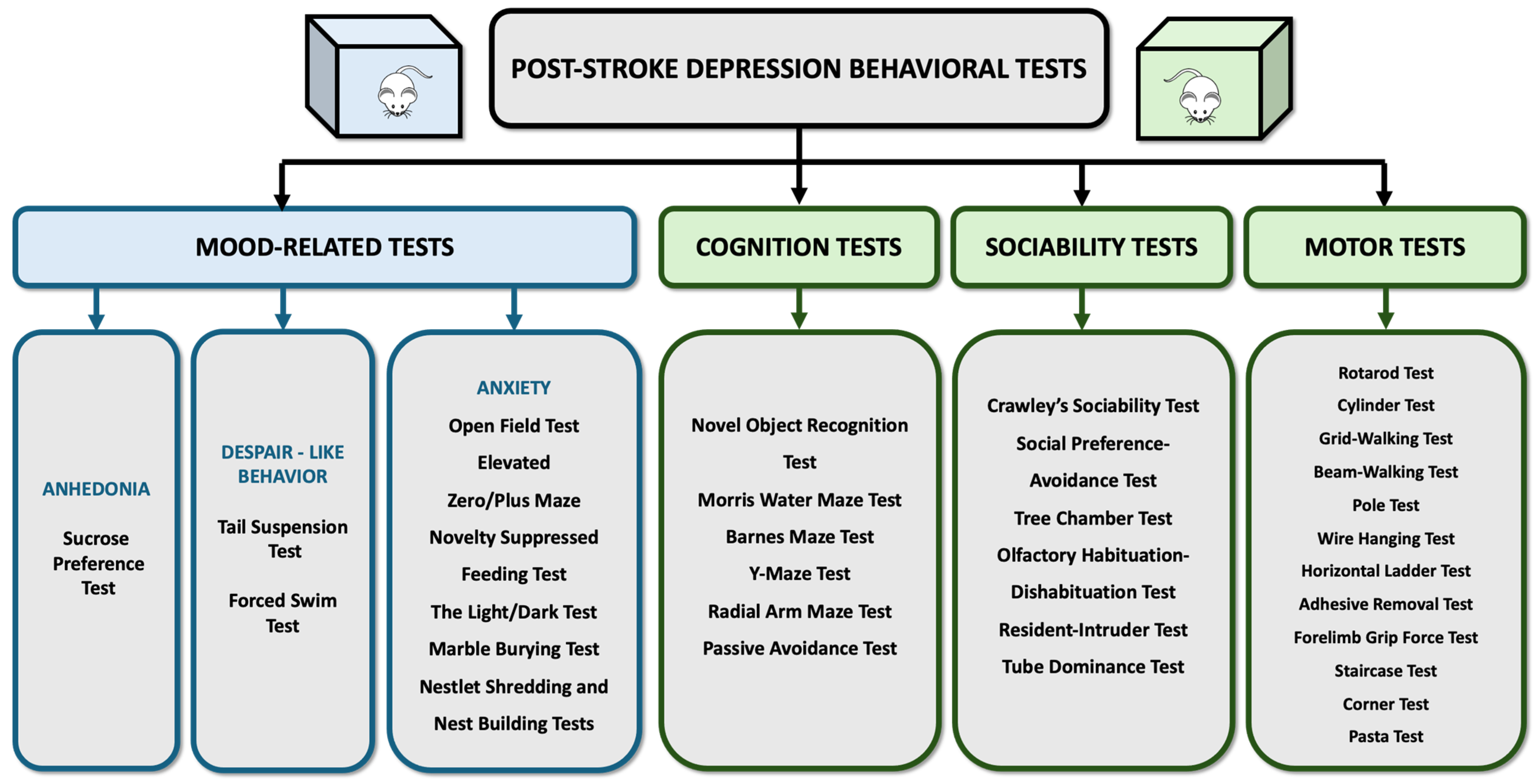 Life 14 01110 g004 Life 14 01110 g004