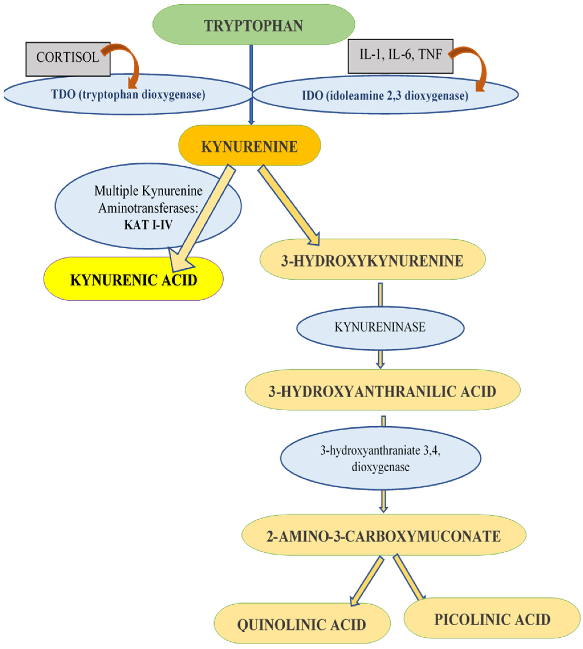 Life 14 01121 g001 Life 14 01121 g001