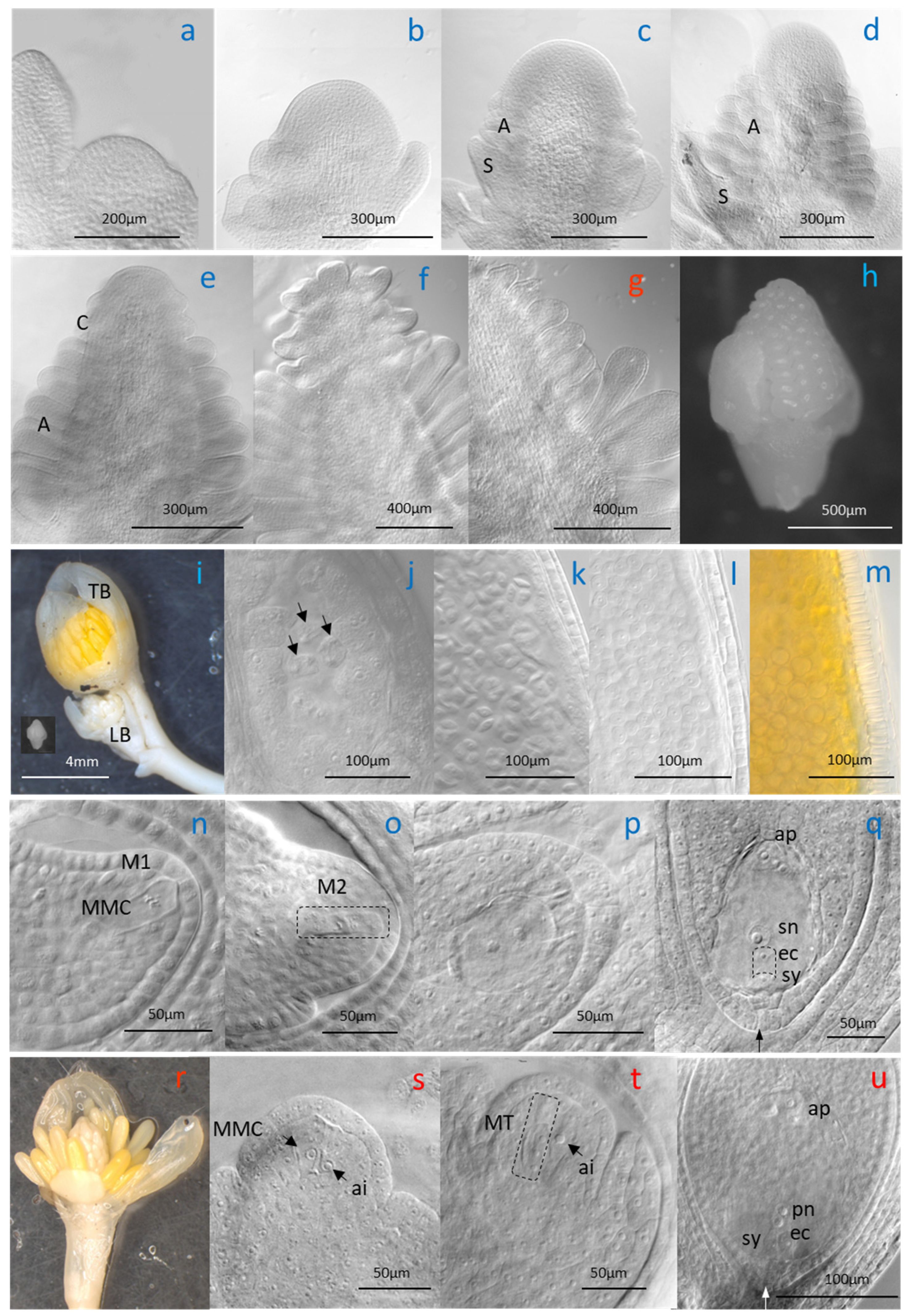 Life 14 01202 g002 Life 14 01202 g002