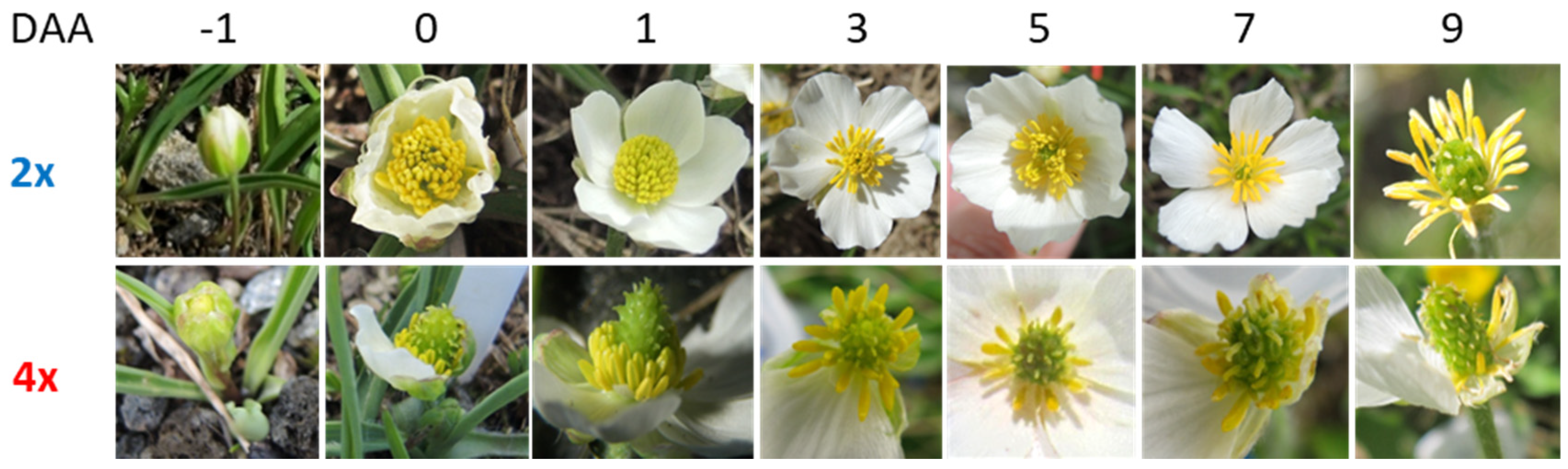 Life 14 01202 g004 Life 14 01202 g004