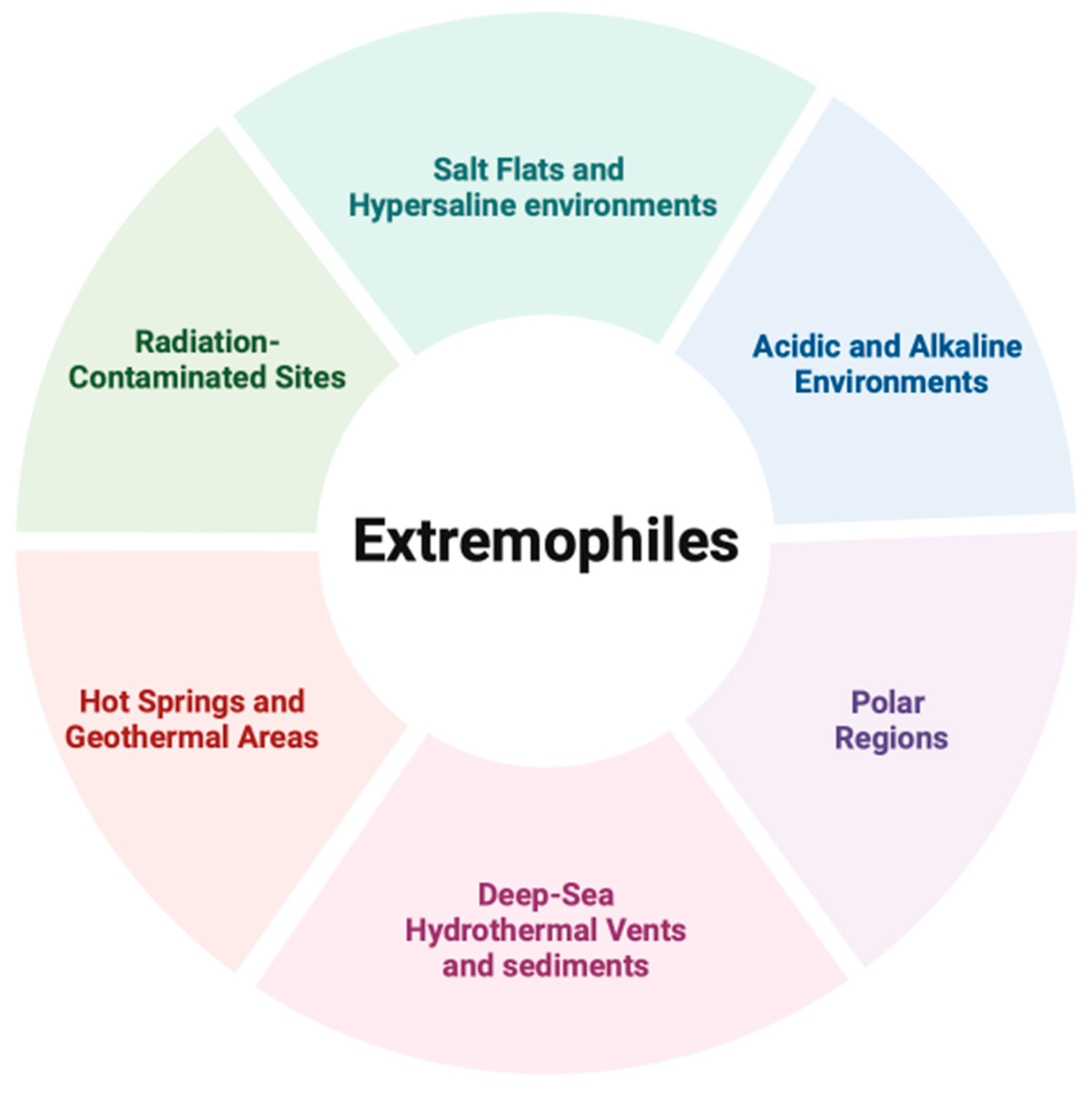 Life 14 01205 g001 Life 14 01205 g001