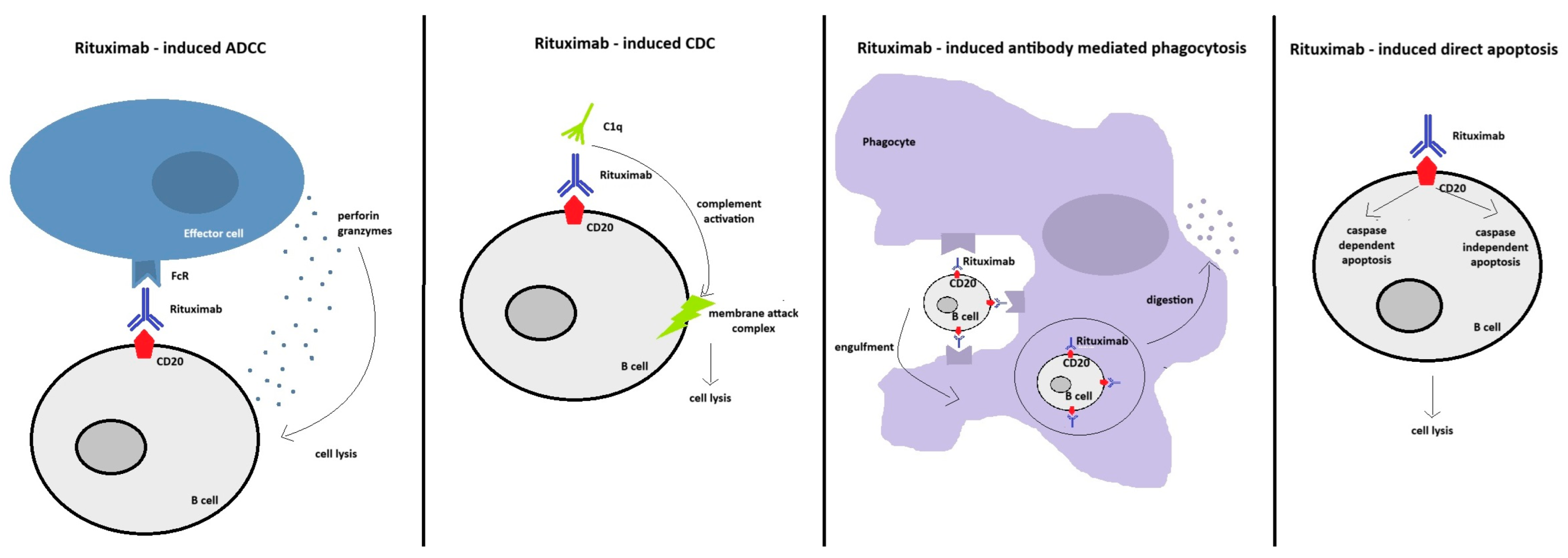 Life 14 01223 g001 Life 14 01223 g001