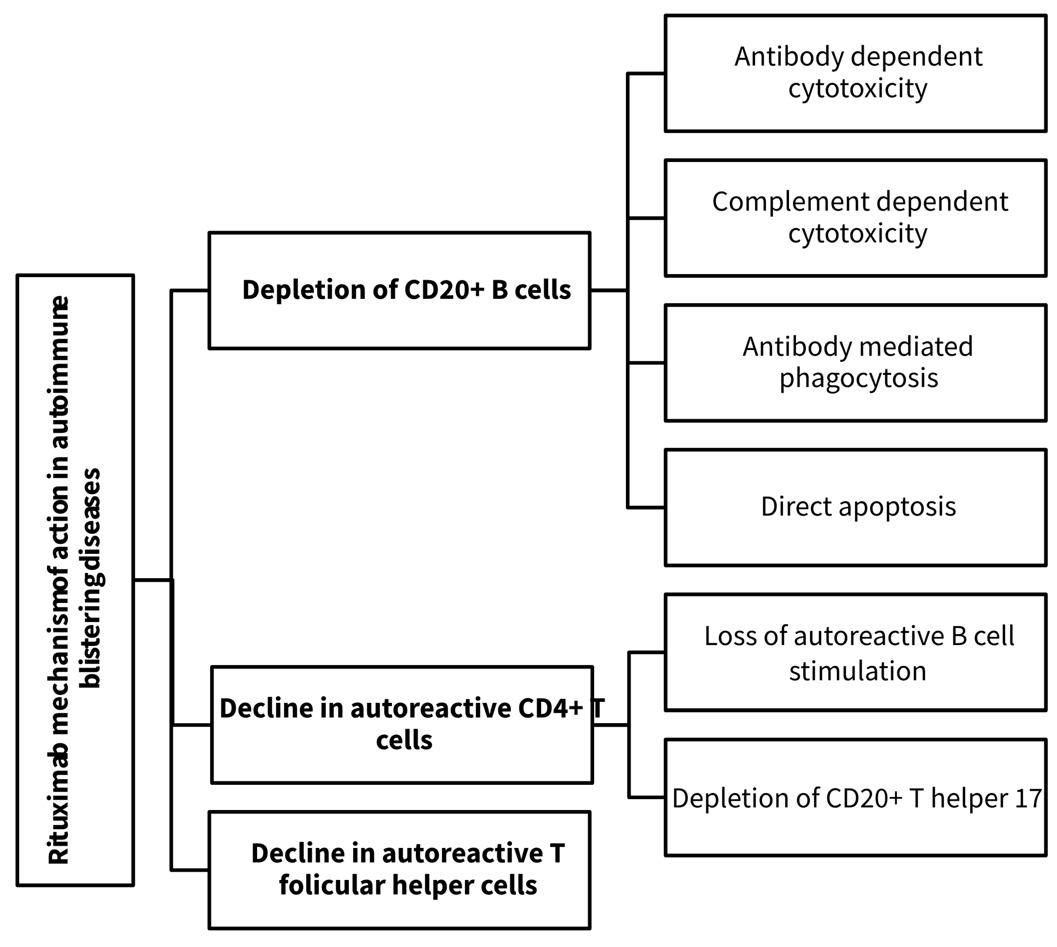 Life 14 01223 g002 Life 14 01223 g002