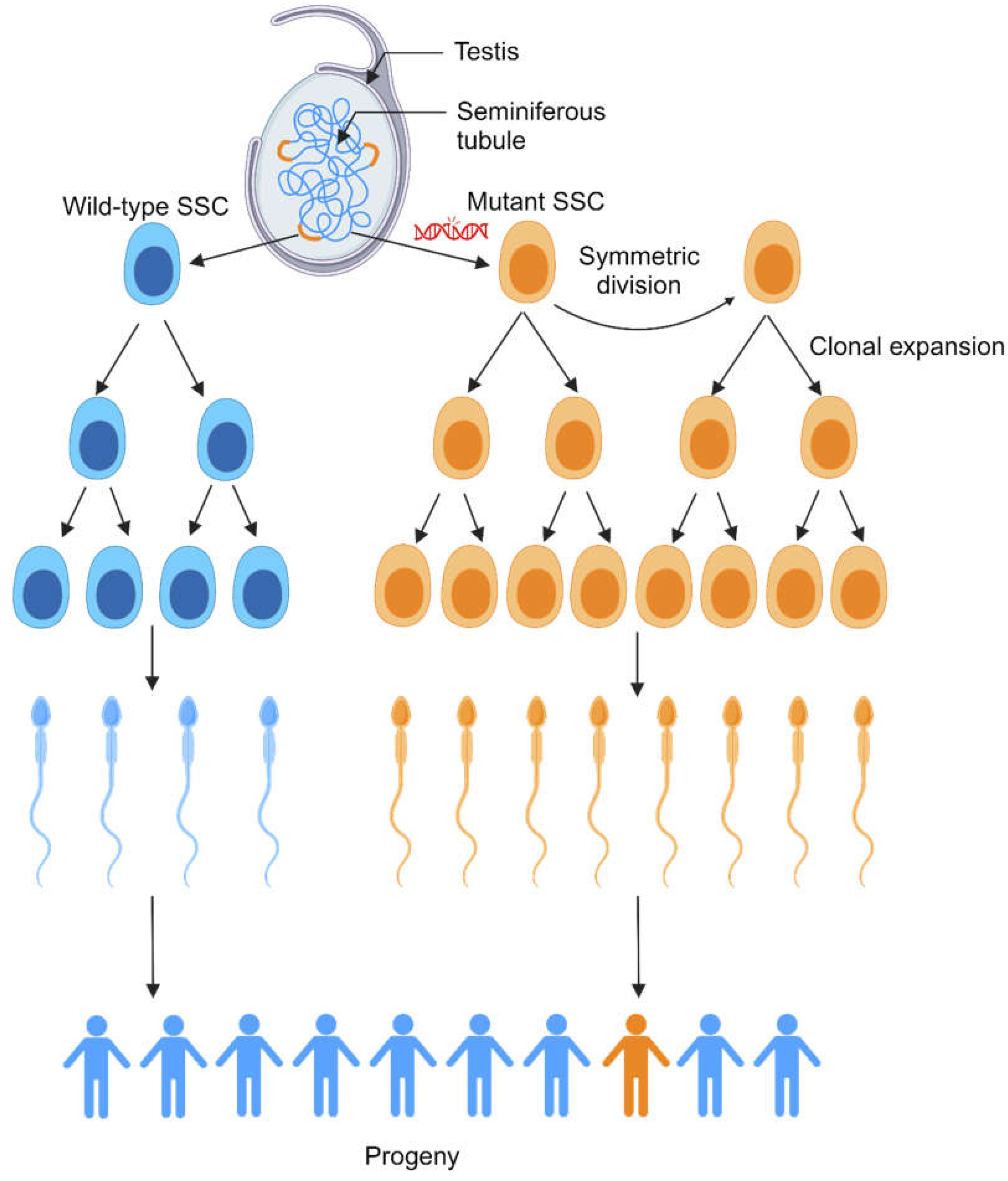 Life 14 01251 g006 Life 14 01251 g006