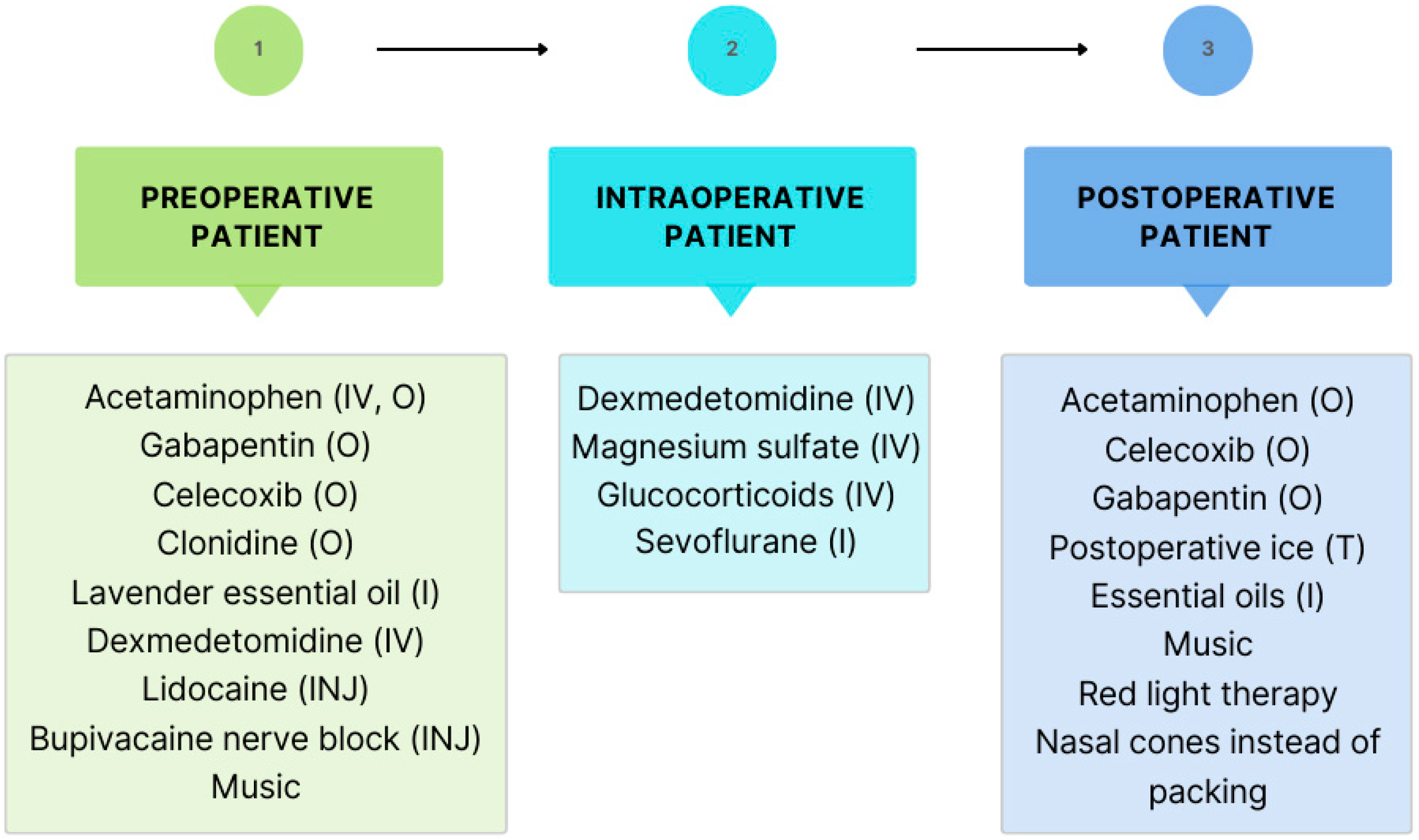 Life 14 01272 g003 Life 14 01272 g003