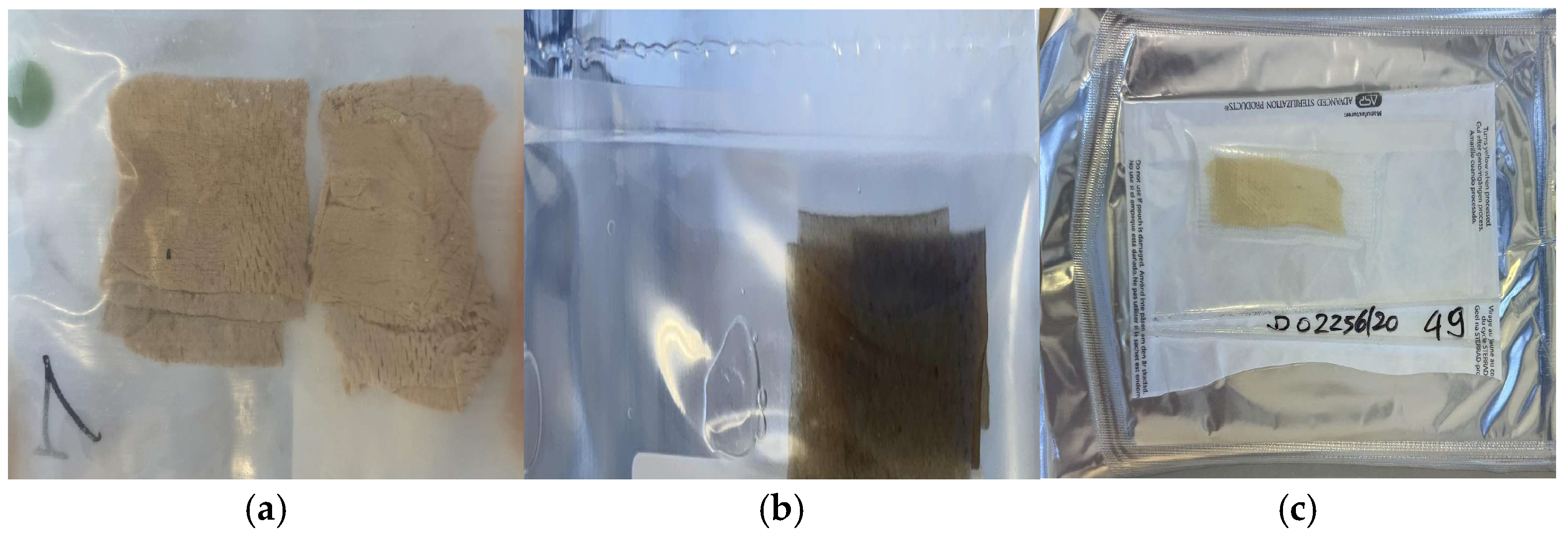 Life 14 01285 g001 Life 14 01285 g001