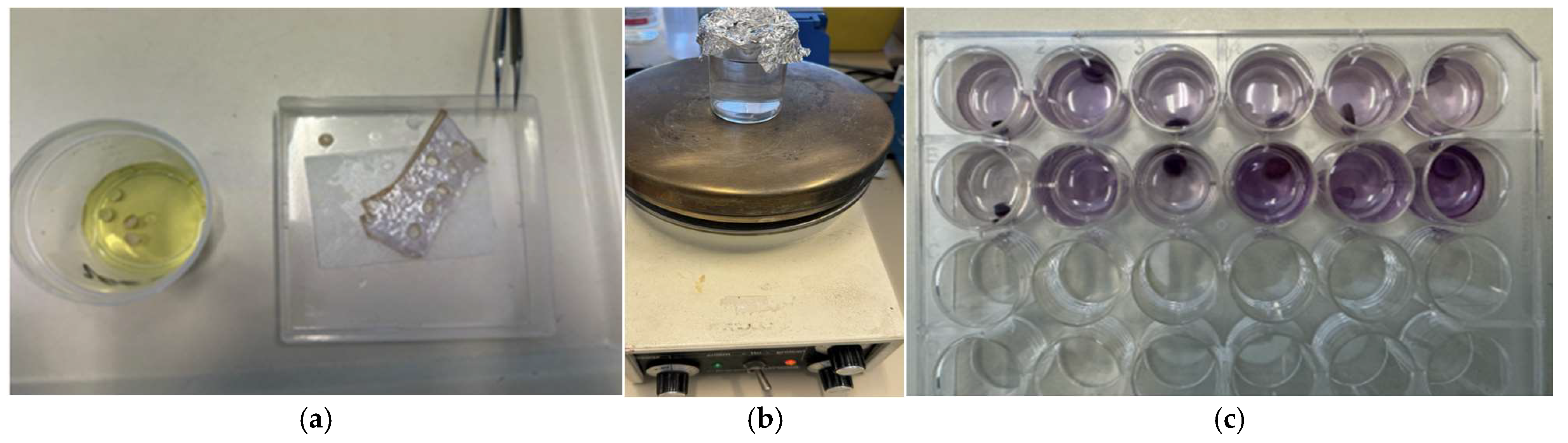 Life 14 01285 g002 Life 14 01285 g002