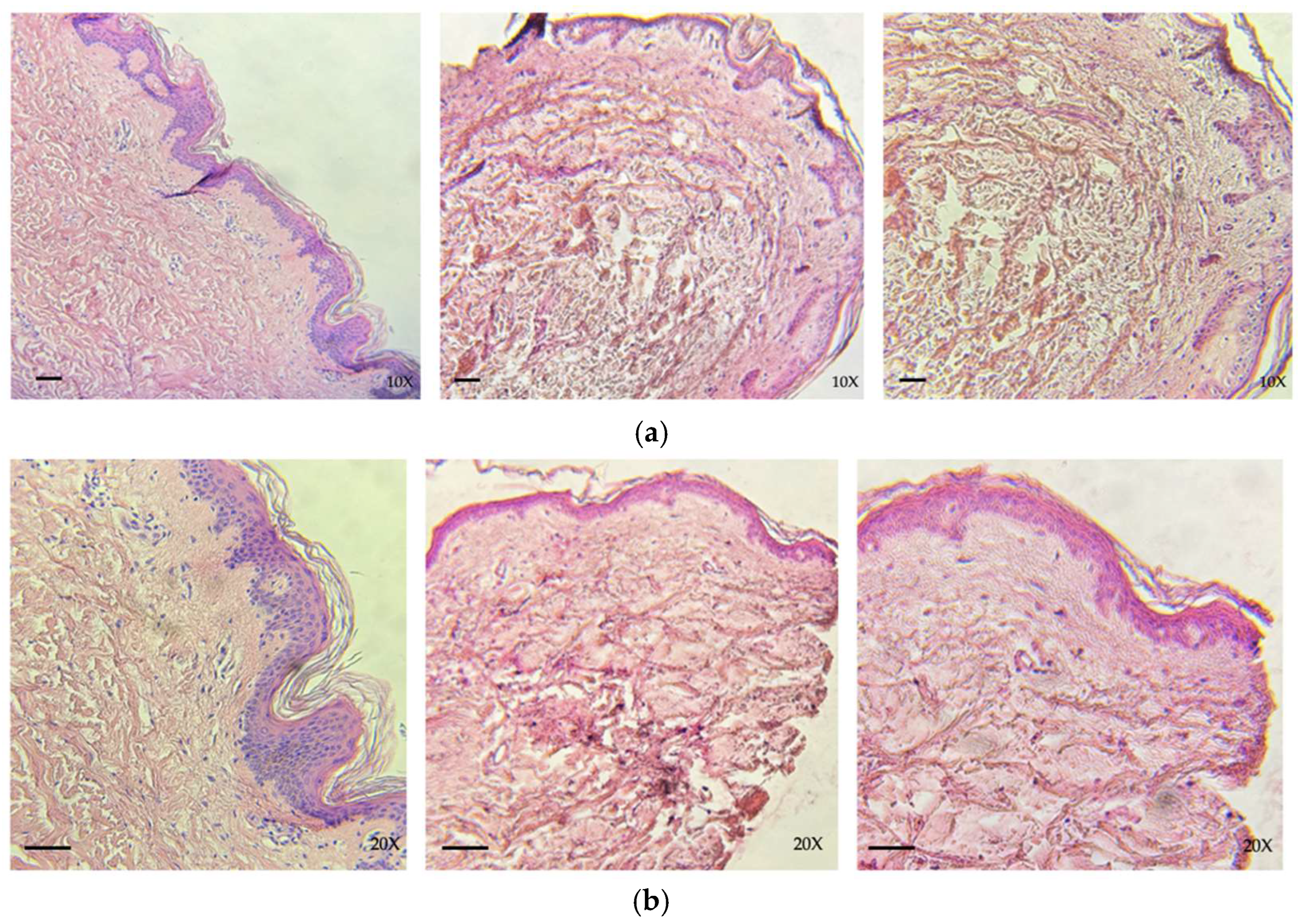 Life 14 01285 g003 Life 14 01285 g003