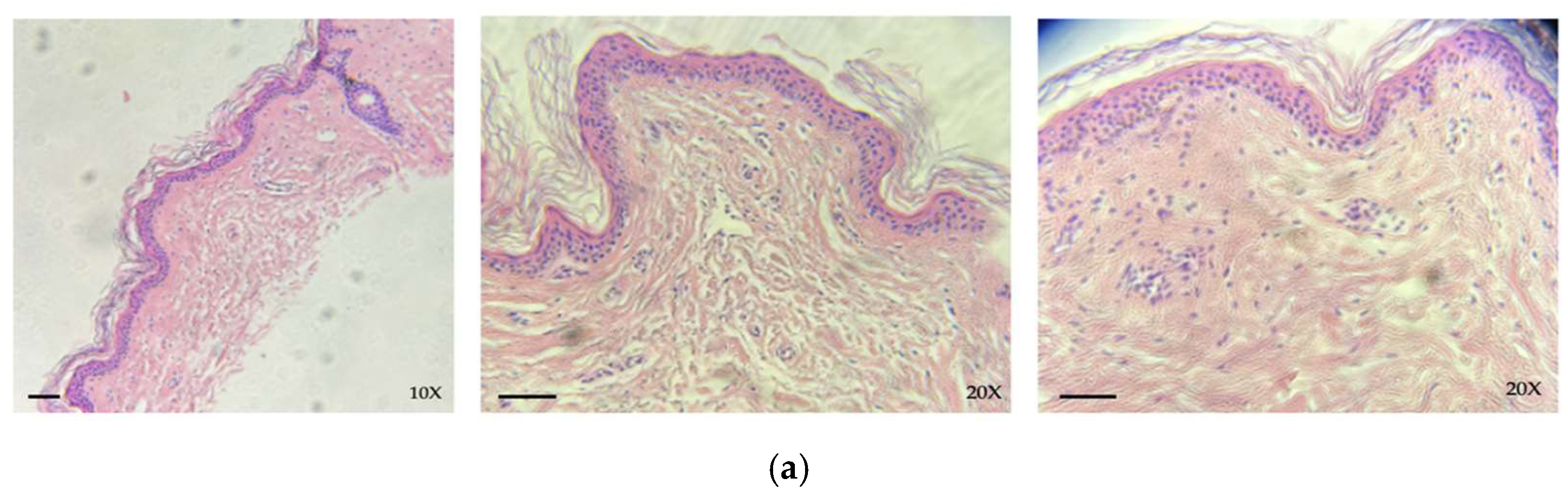 Life 14 01285 g004a Life 14 01285 g004a