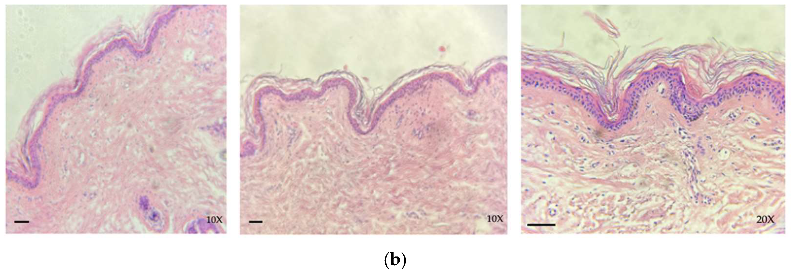 Life 14 01285 g004b Life 14 01285 g004b
