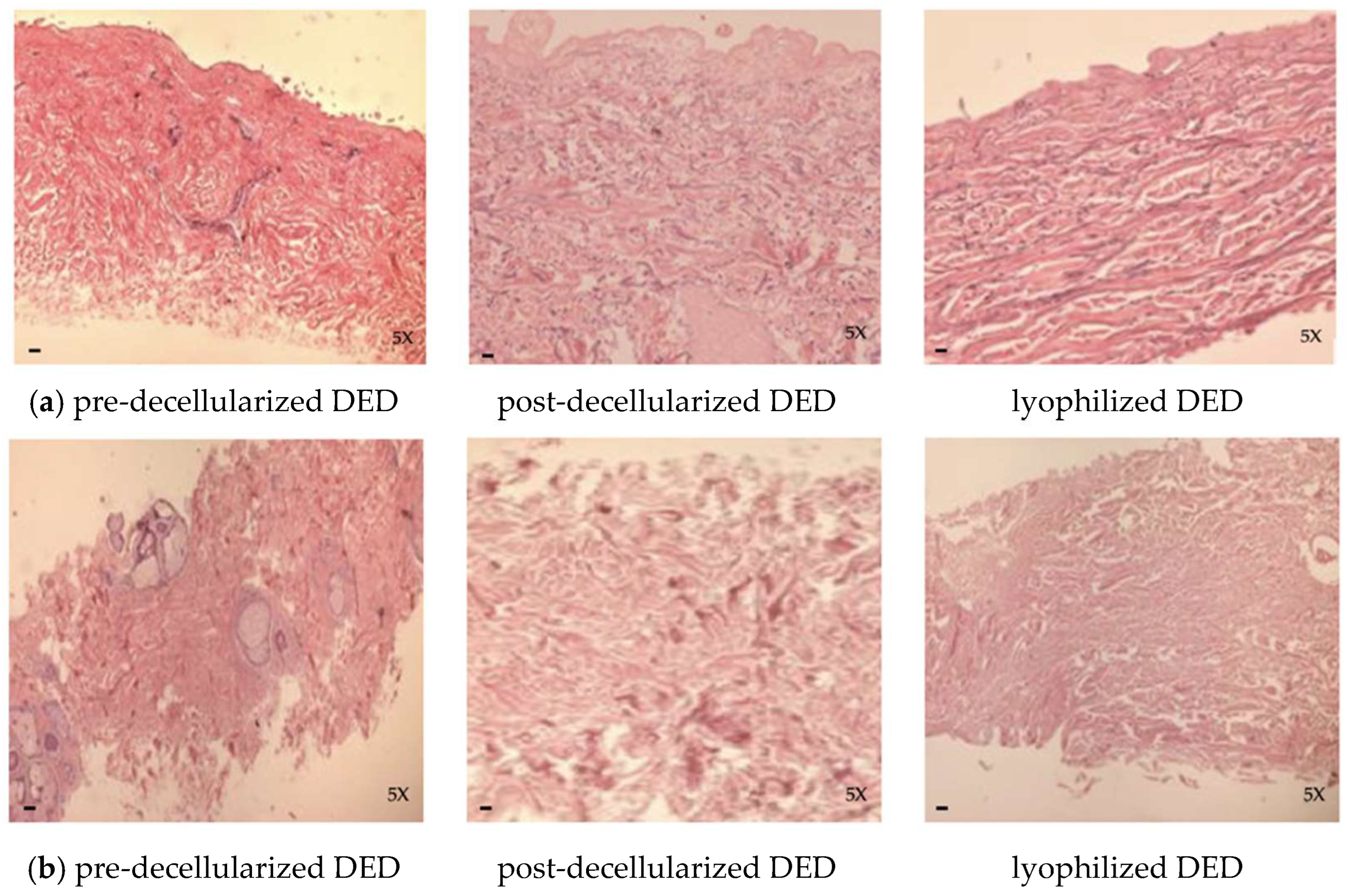 Life 14 01285 g005 Life 14 01285 g005