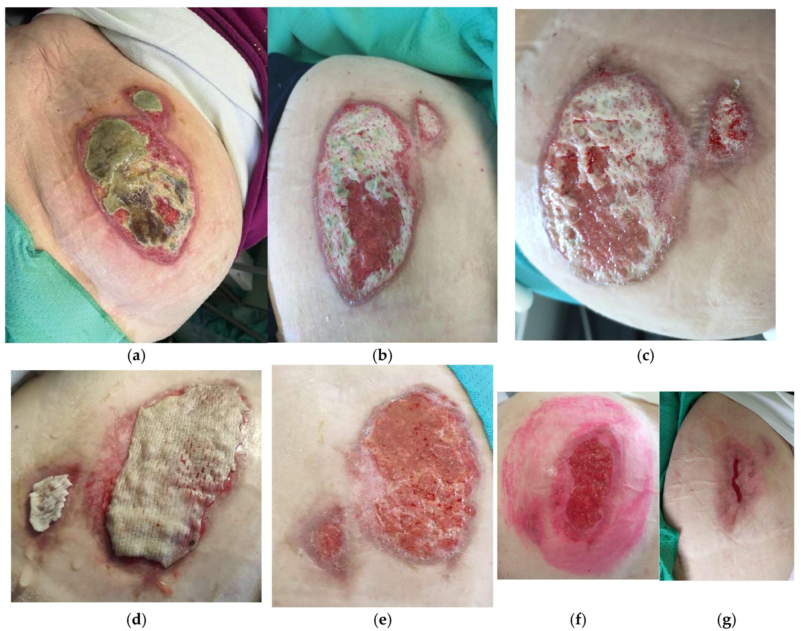 Life 14 01285 g008 Life 14 01285 g008