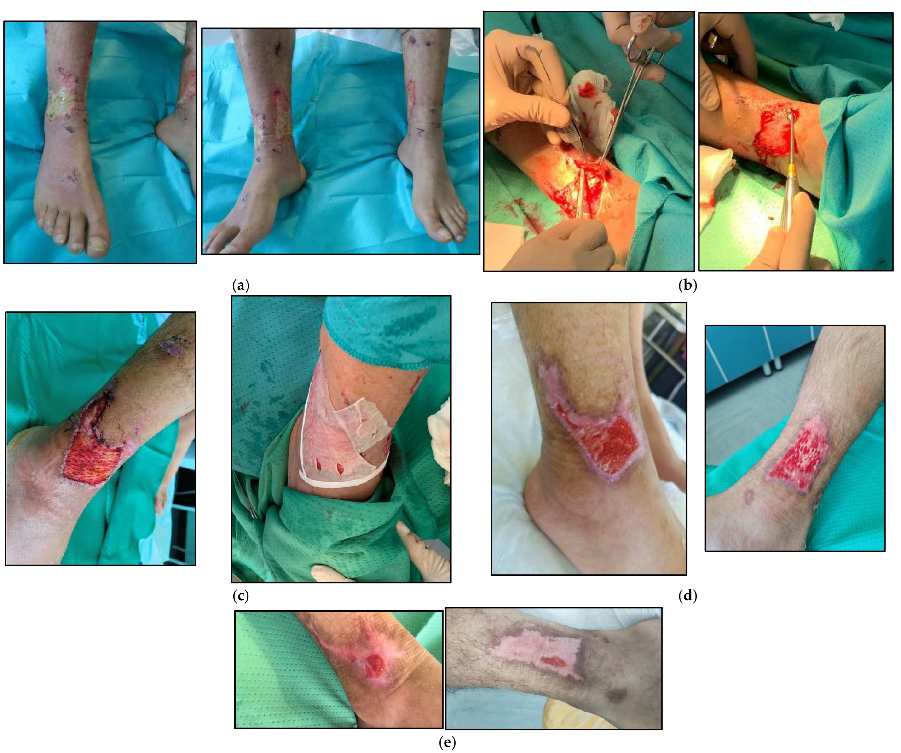 Life 14 01285 g009 Life 14 01285 g009