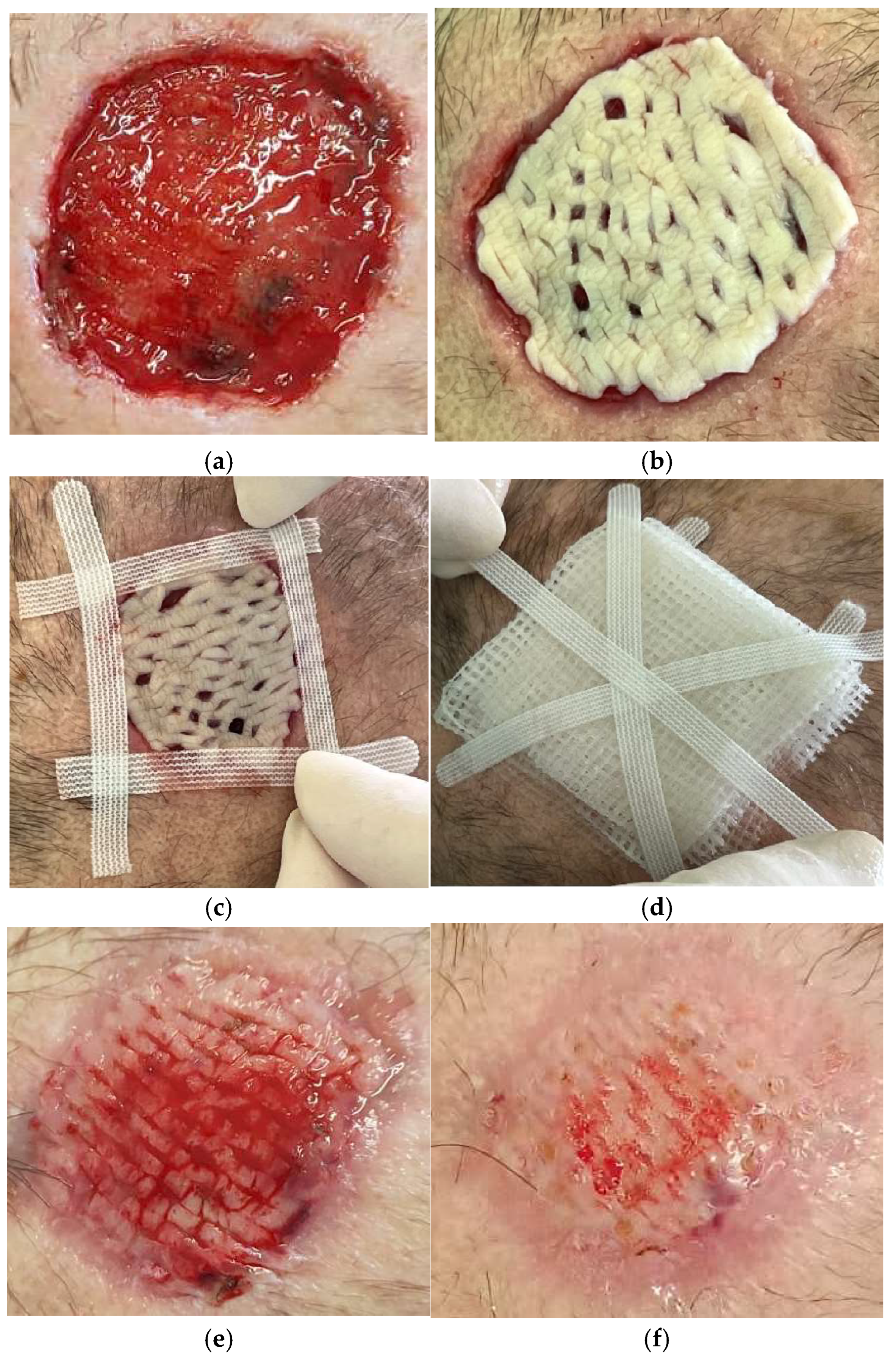 Life 14 01285 g010 Life 14 01285 g010