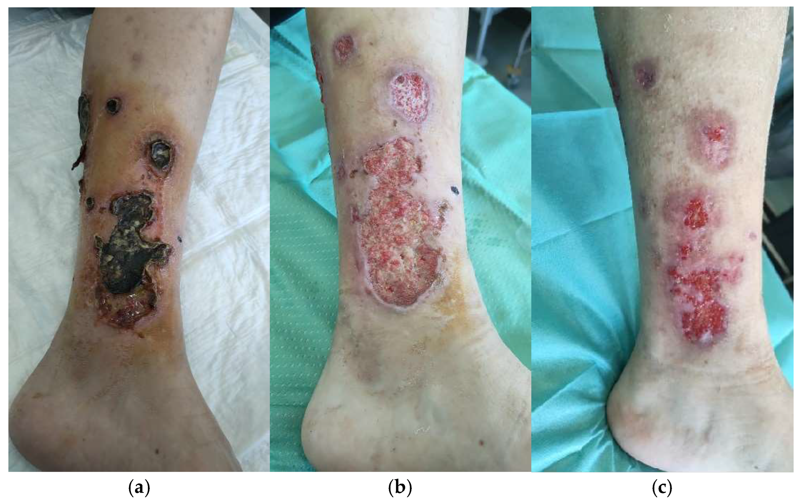 Life 14 01285 g012 Life 14 01285 g012