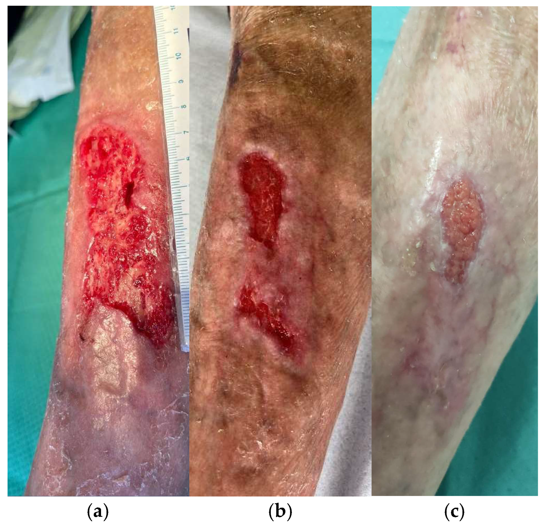 Life 14 01285 g013 Life 14 01285 g013