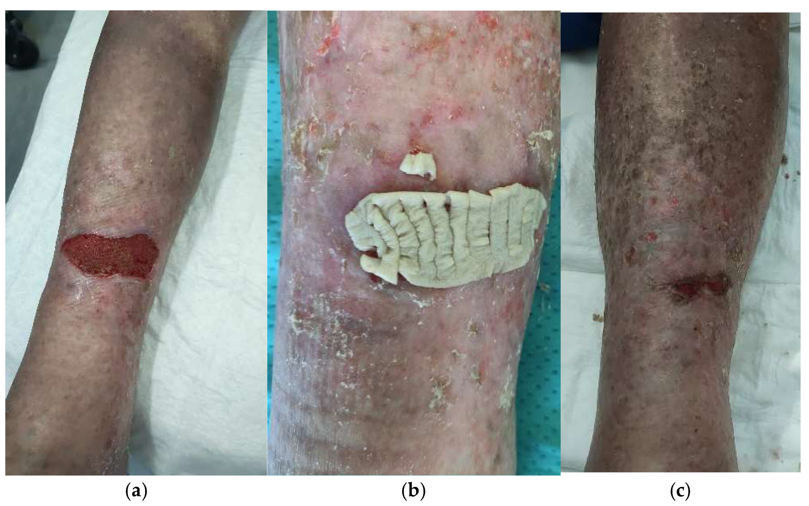 Life 14 01285 g014 Life 14 01285 g014