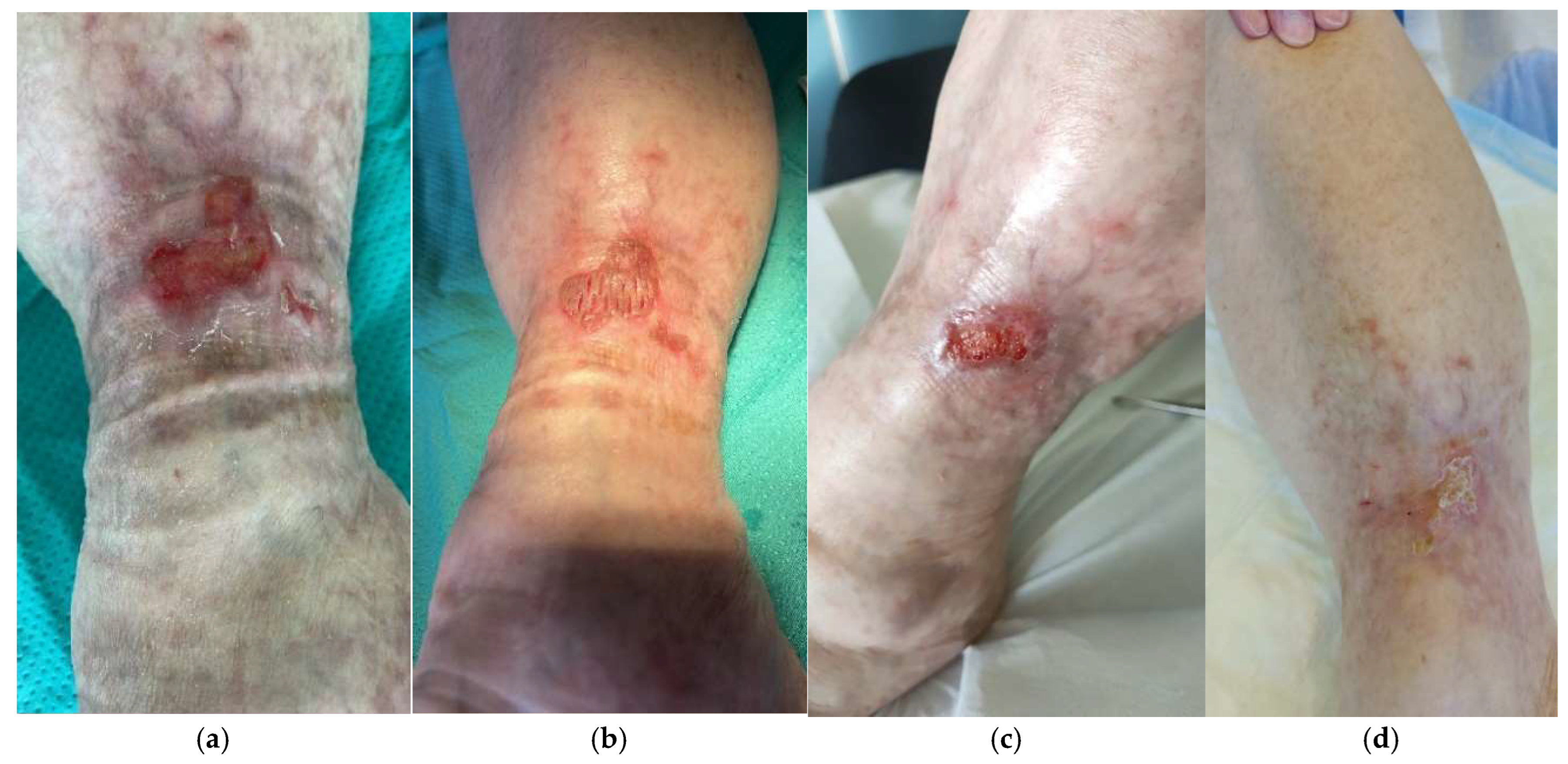 Life 14 01285 g015 Life 14 01285 g015