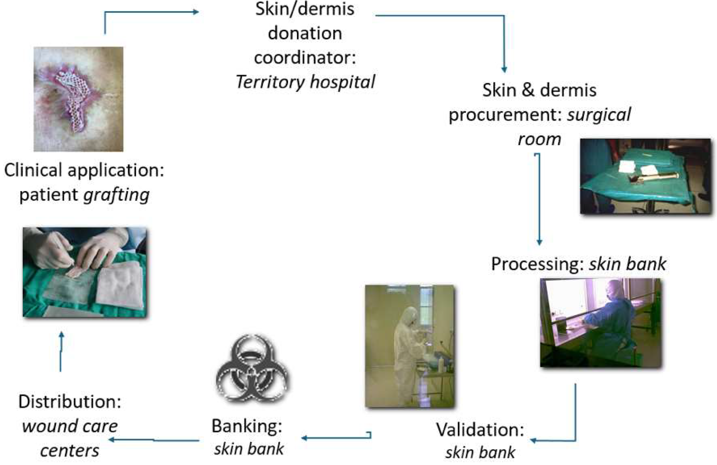 Life 14 01285 g016 Life 14 01285 g016