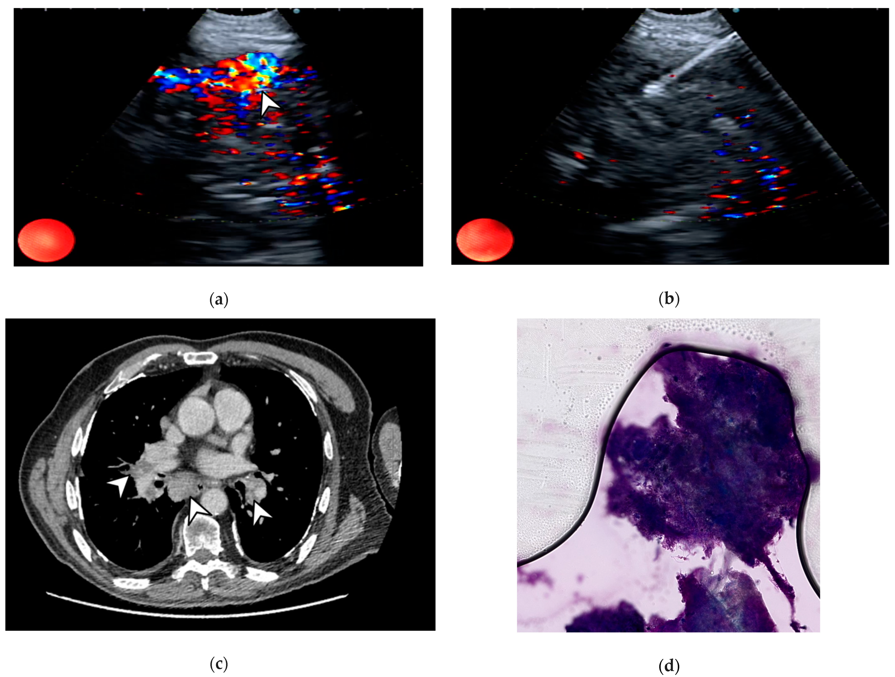 Life 14 01291 g001 Life 14 01291 g001