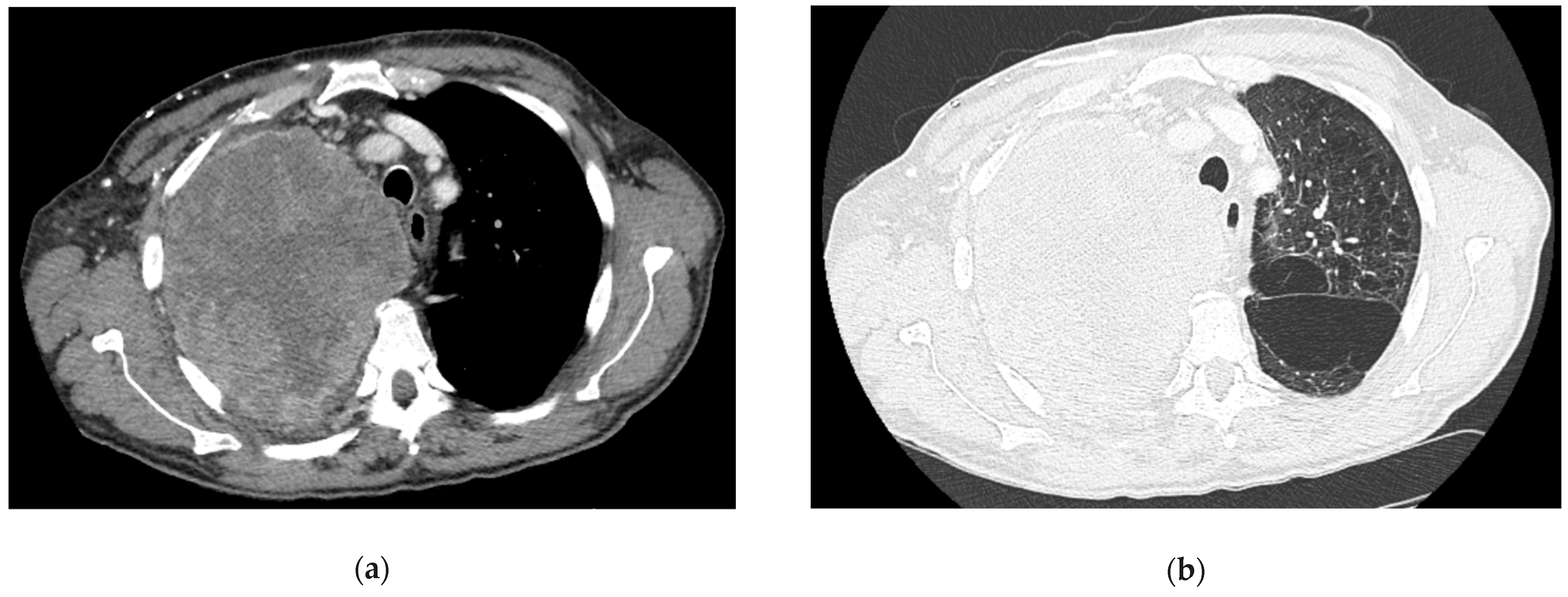 Life 14 01291 g003a Life 14 01291 g003a