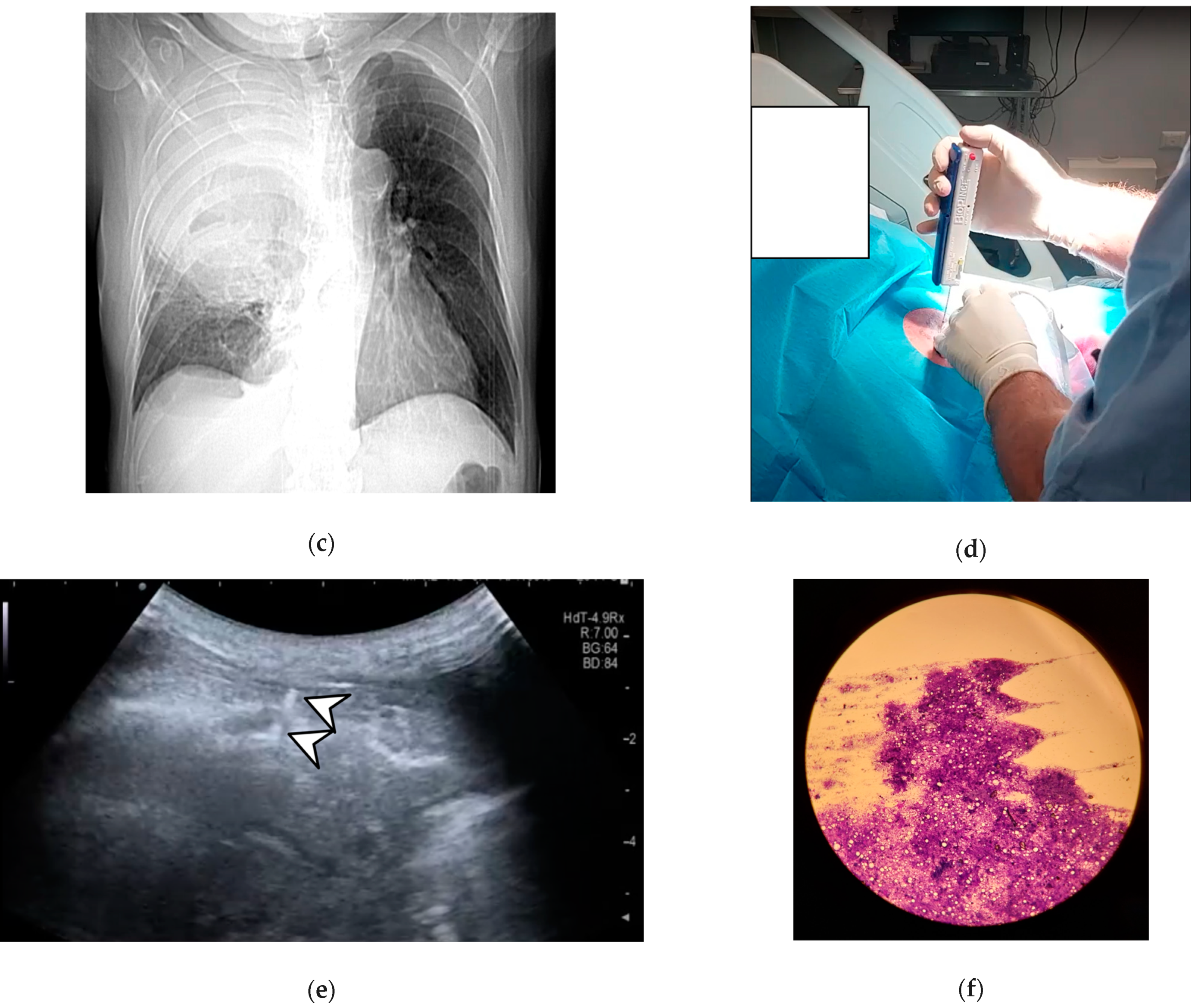 Life 14 01291 g003b Life 14 01291 g003b