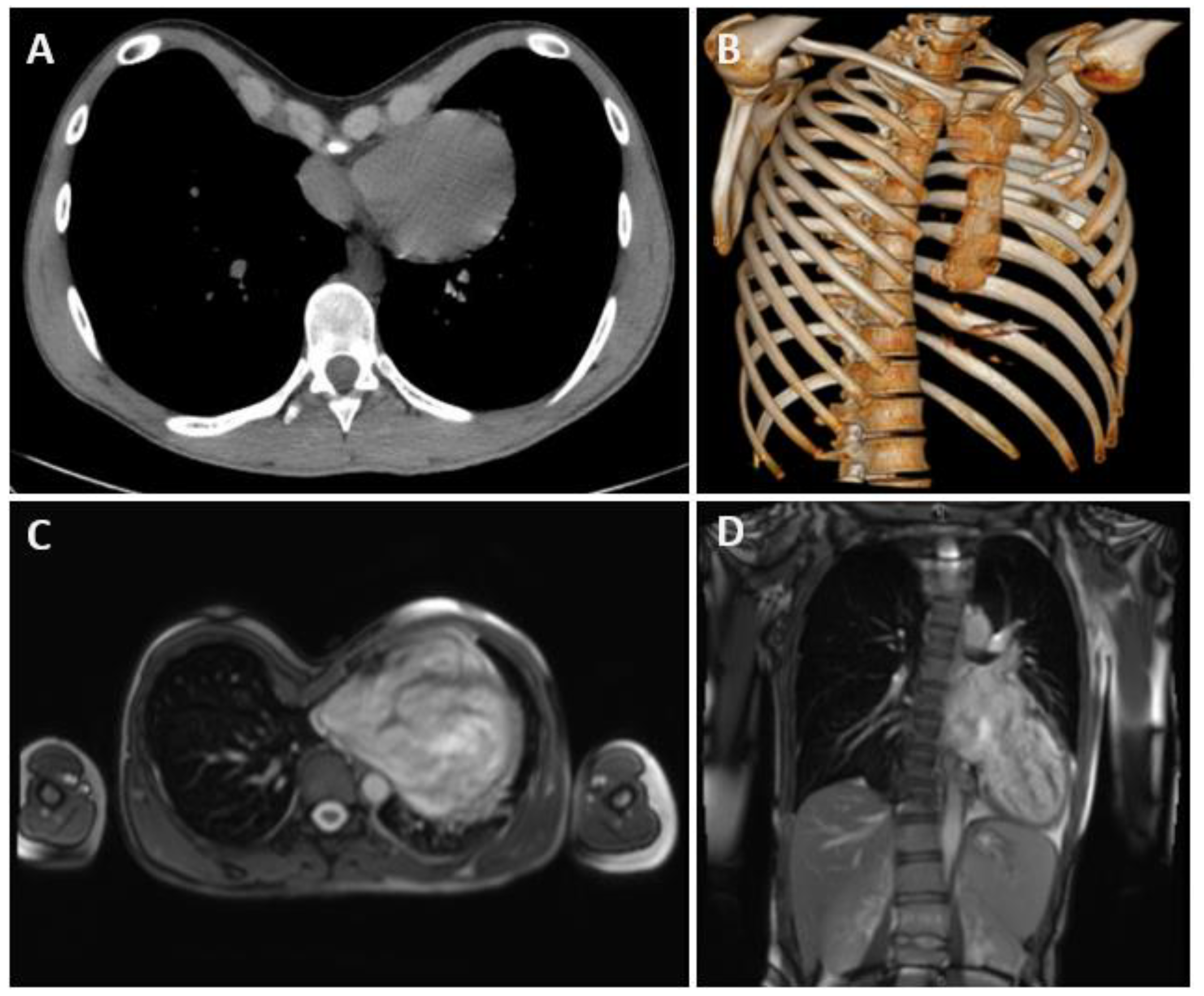 Life 14 01643 g001 Life 14 01643 g001