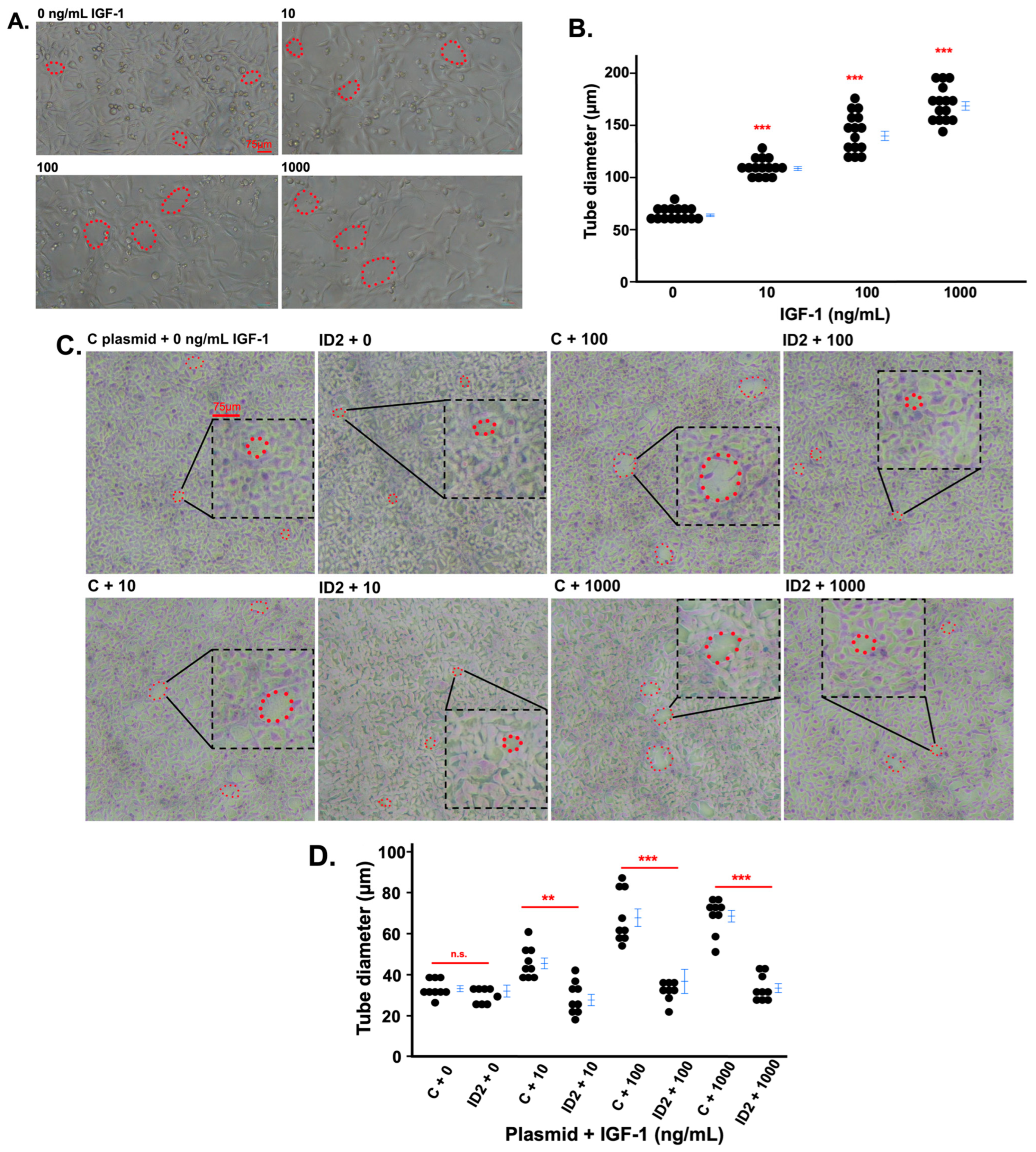 Life 14 01663 g003 Life 14 01663 g003