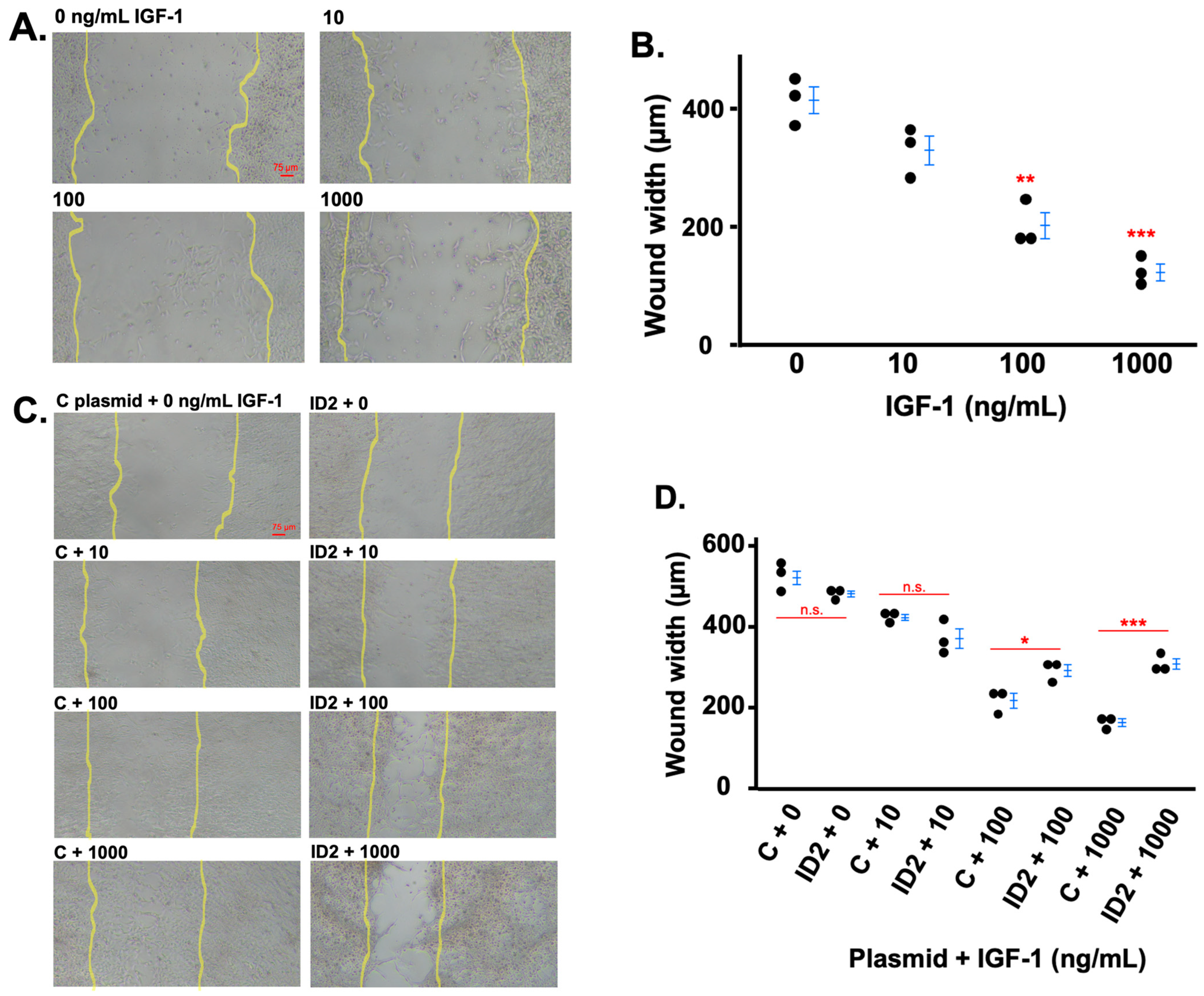 Life 14 01663 g004 Life 14 01663 g004