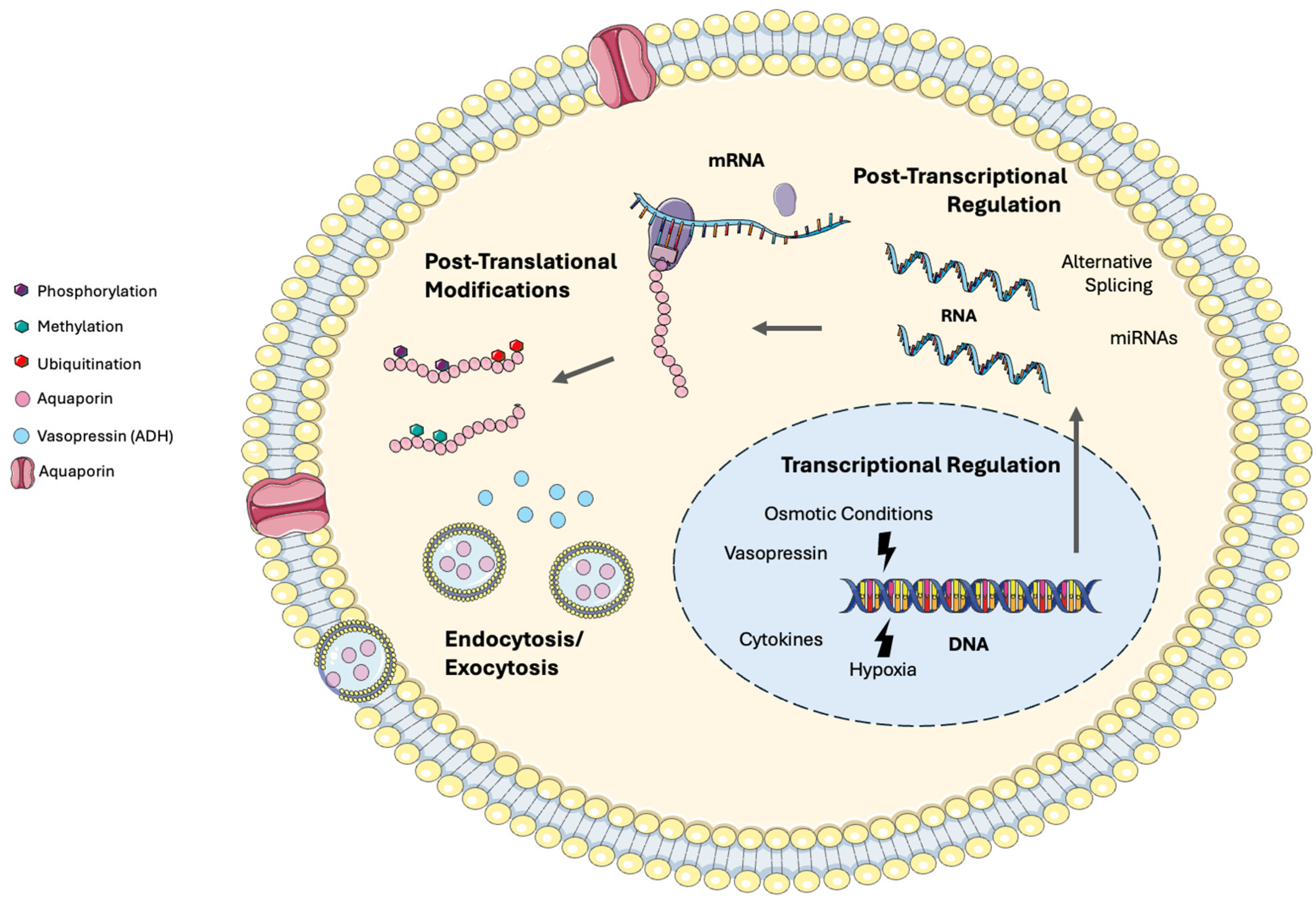 Life 14 01688 g002 Life 14 01688 g002