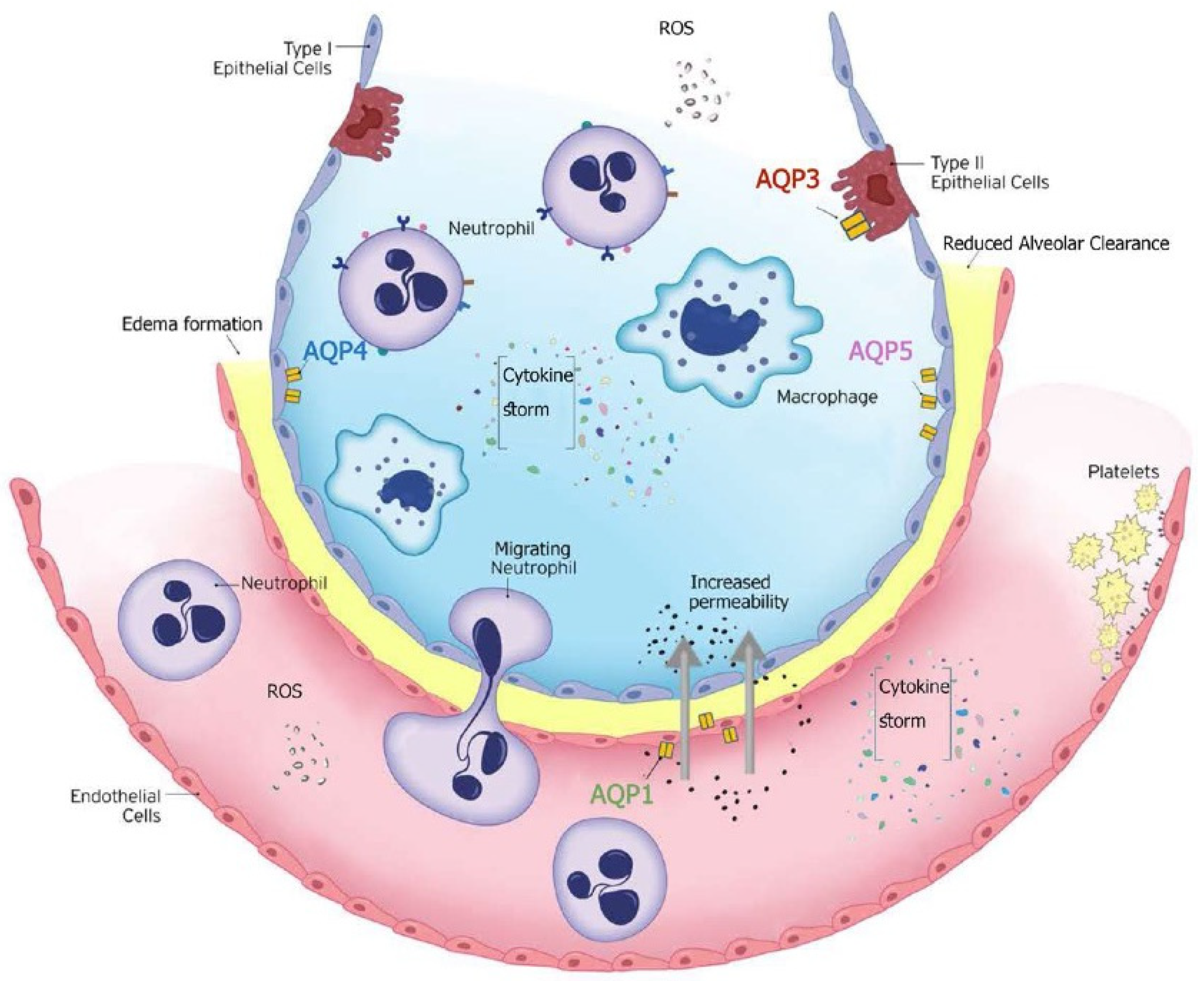 Life 14 01688 g004 Life 14 01688 g004