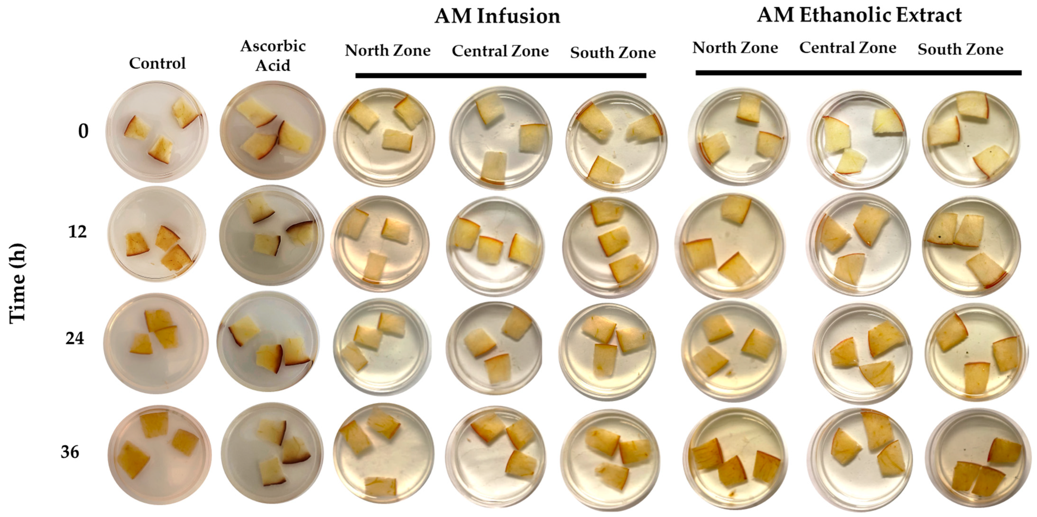 Life 14 01702 g005 Life 14 01702 g005