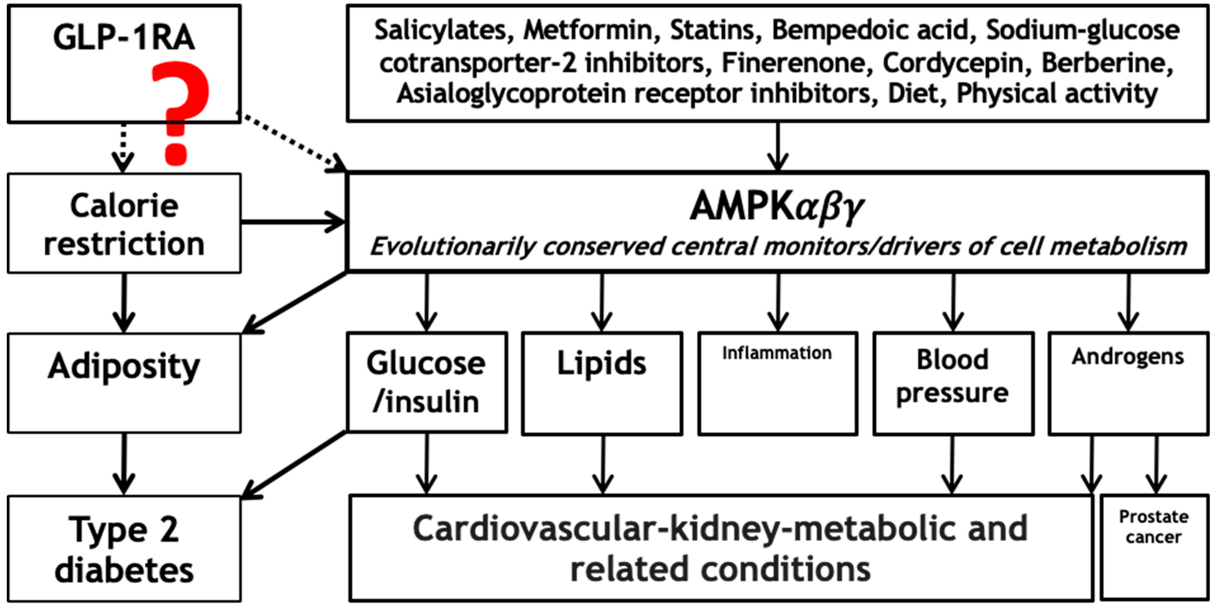 Life 15 00253 g001 Life 15 00253 g001