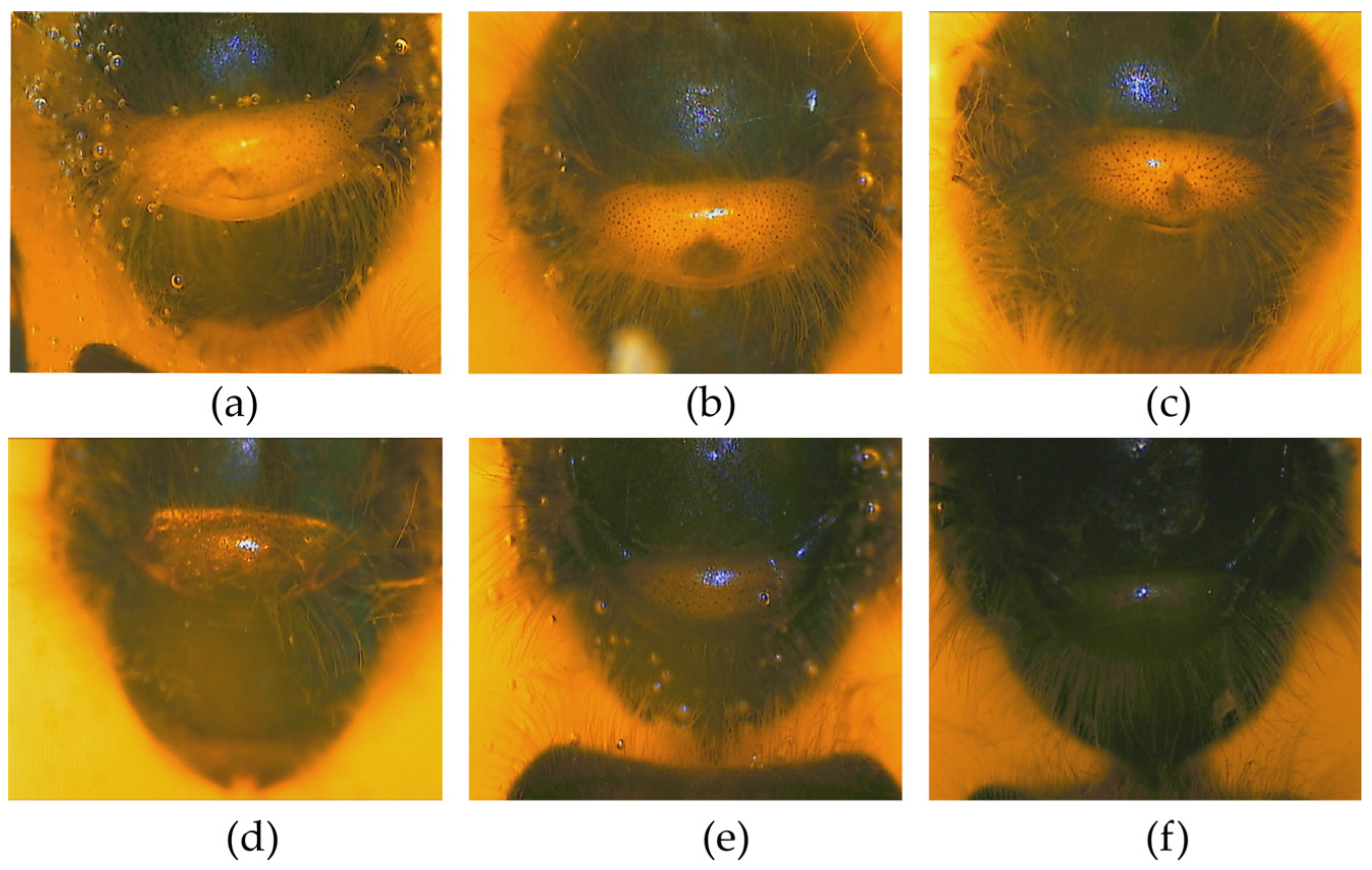 Life 15 00255 g003 Life 15 00255 g003