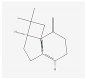 Life 15 00282 i007 Life 15 00282 i007