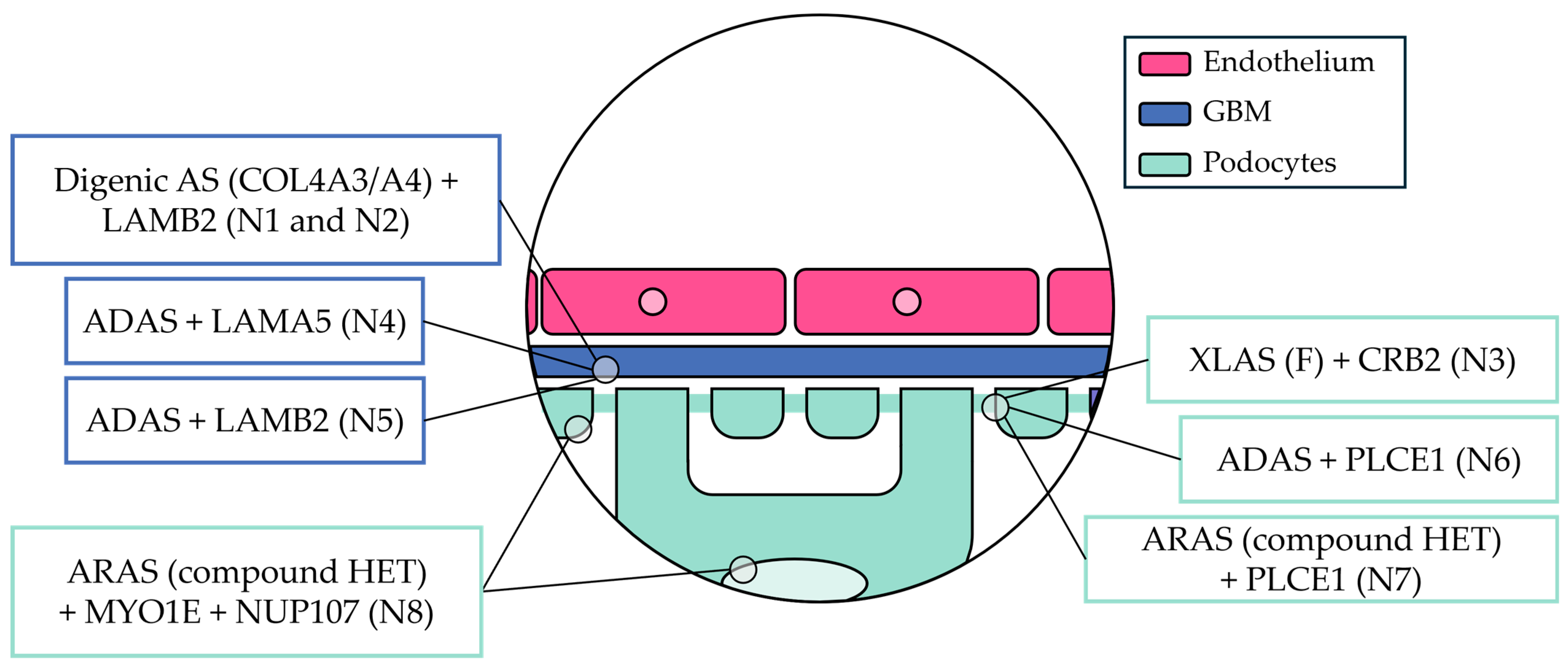 Life 15 00298 g001 Life 15 00298 g001