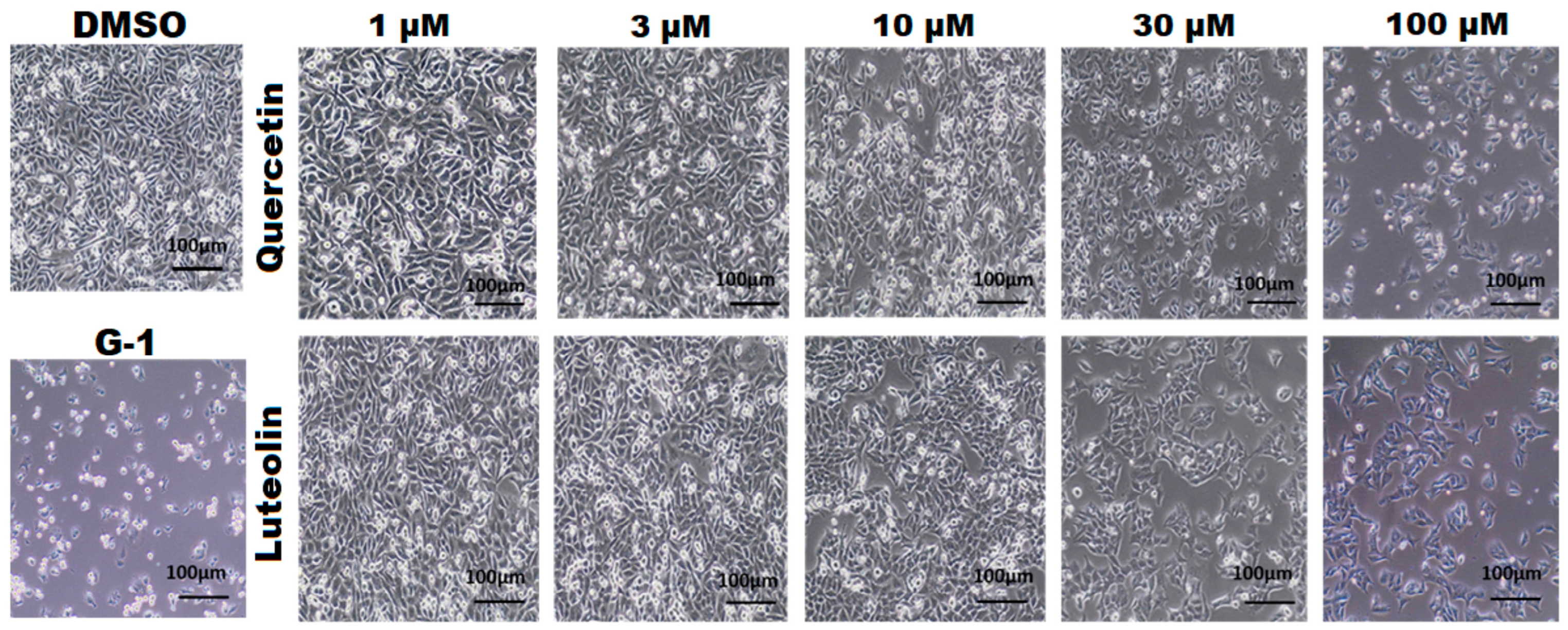 Life 15 00417 g002 Life 15 00417 g002