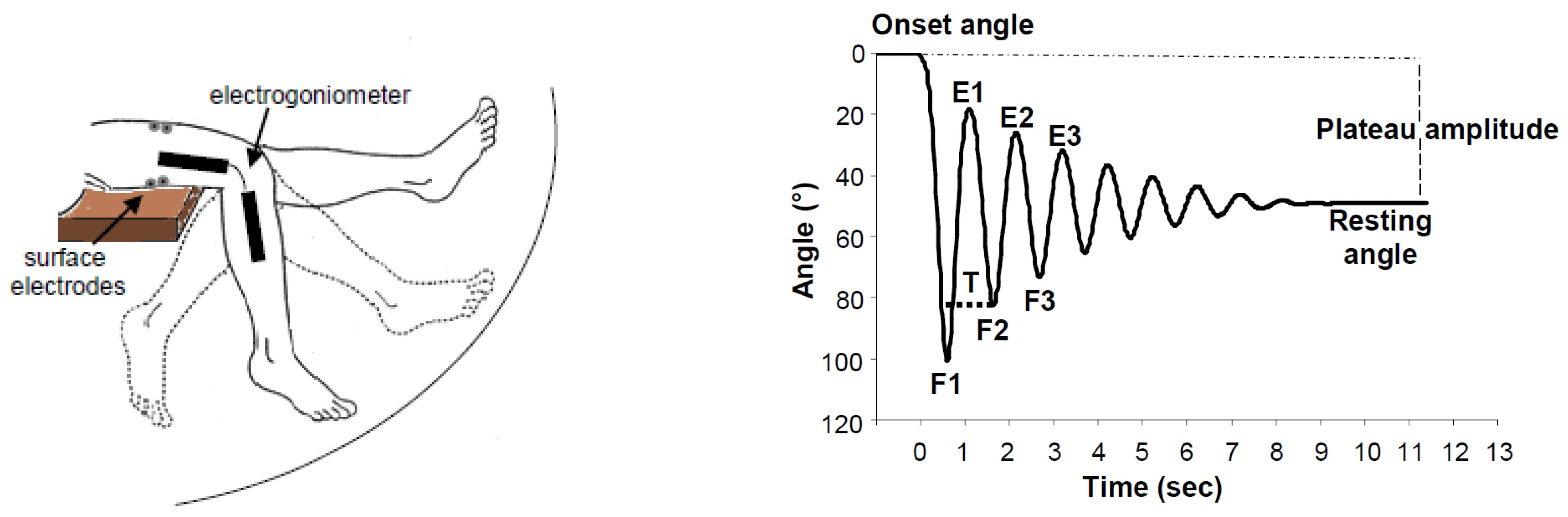 Life 15 00535 g001 Life 15 00535 g001