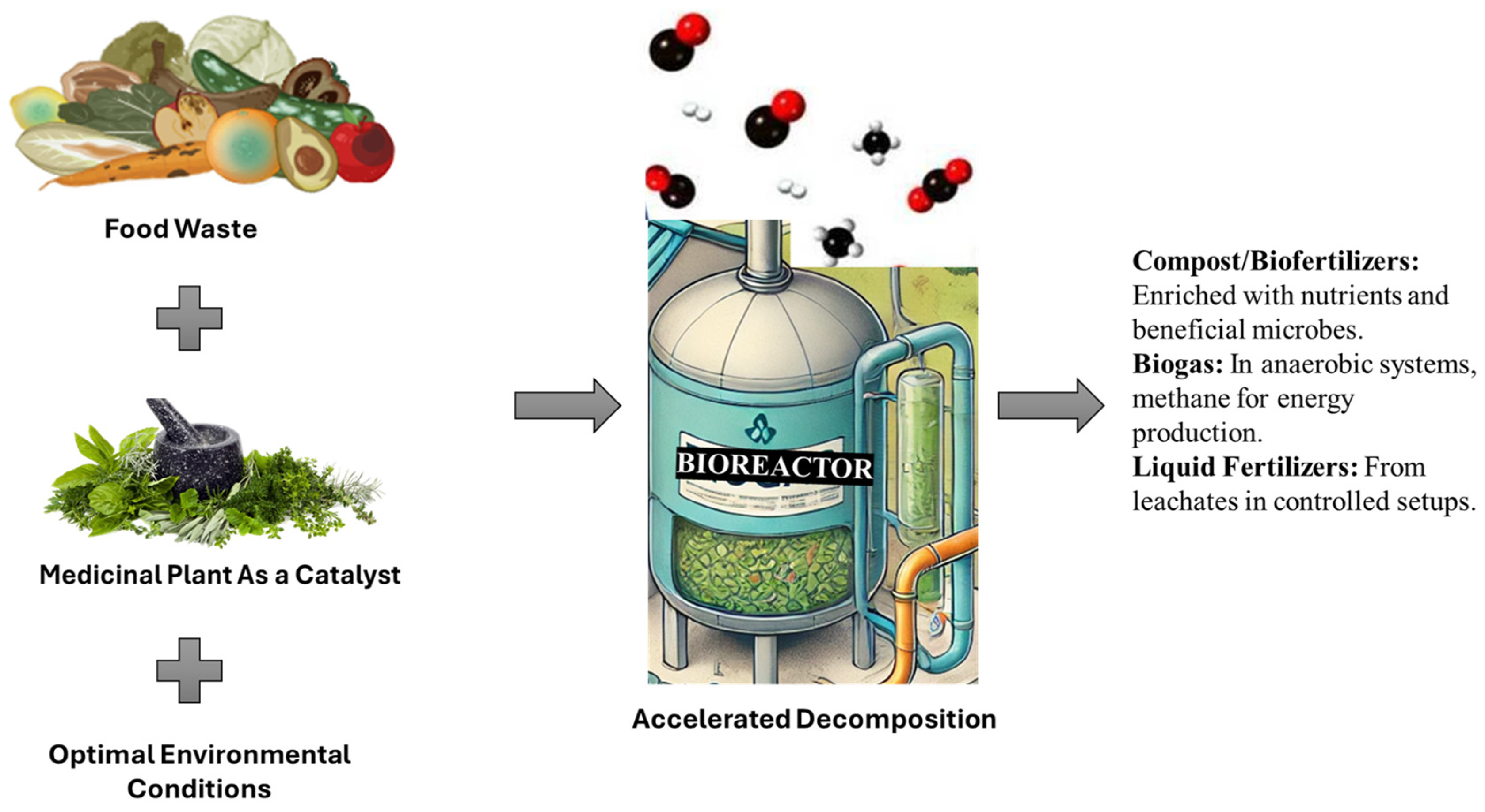 Life 15 00552 g002 Life 15 00552 g002